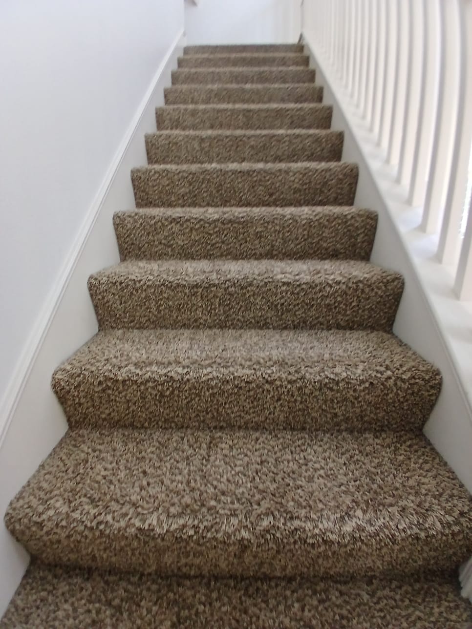 Clean carpet on stairs — perfectly fitted and uniform