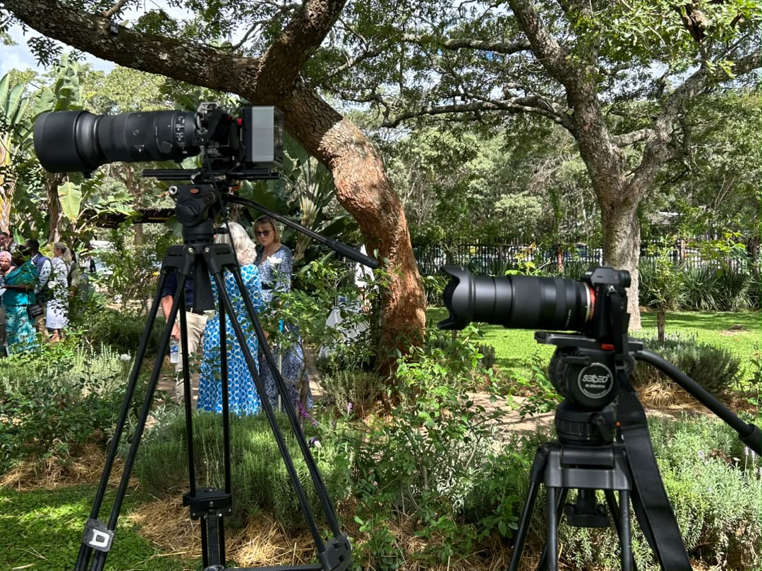 Professional dual cinema camera setup on tripods at outdoor garden venue with mature trees