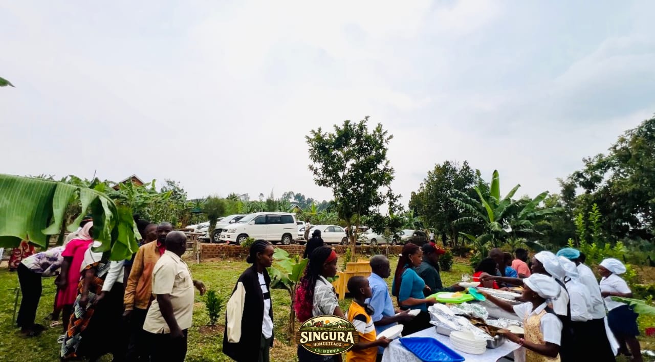 Market Setup Area