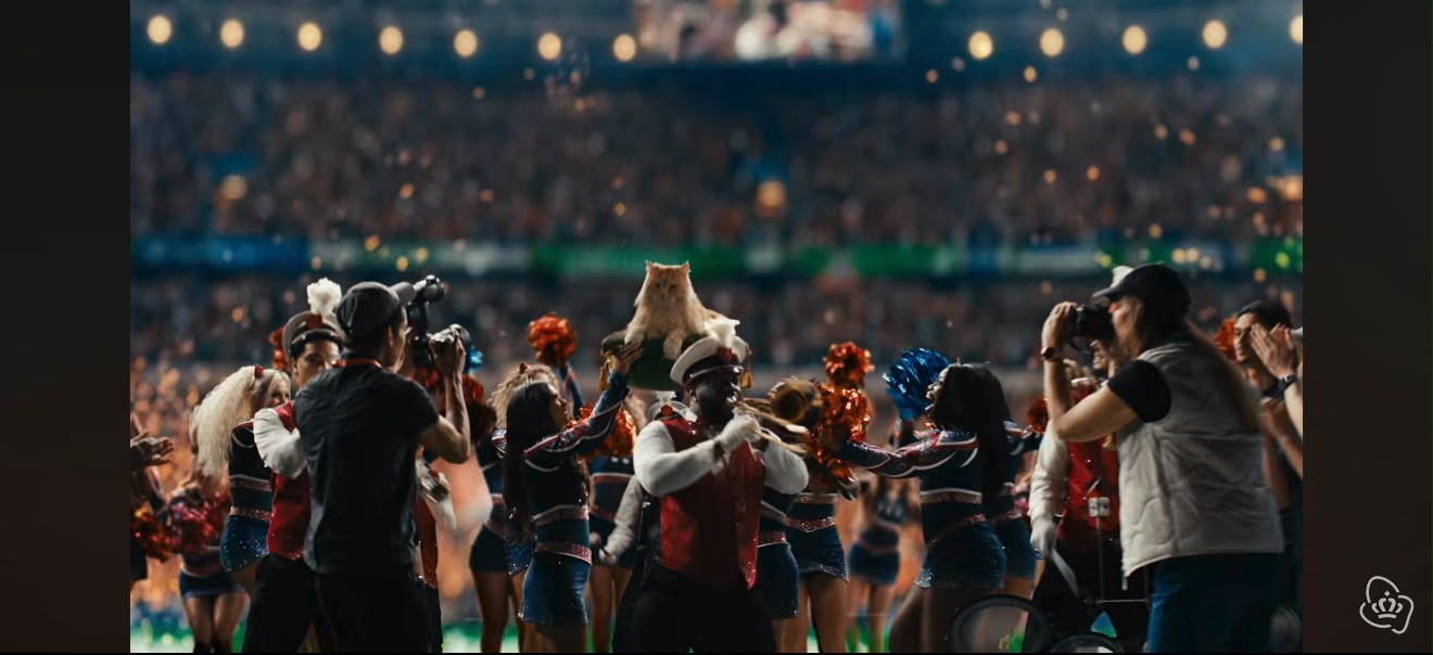 KPN Campagne Stadion