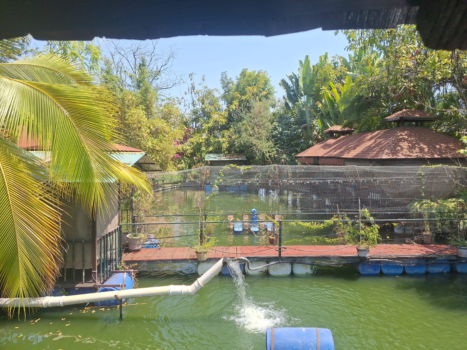 Estanque del restaurante con fuente de agua rodeado de palmeras y palapas