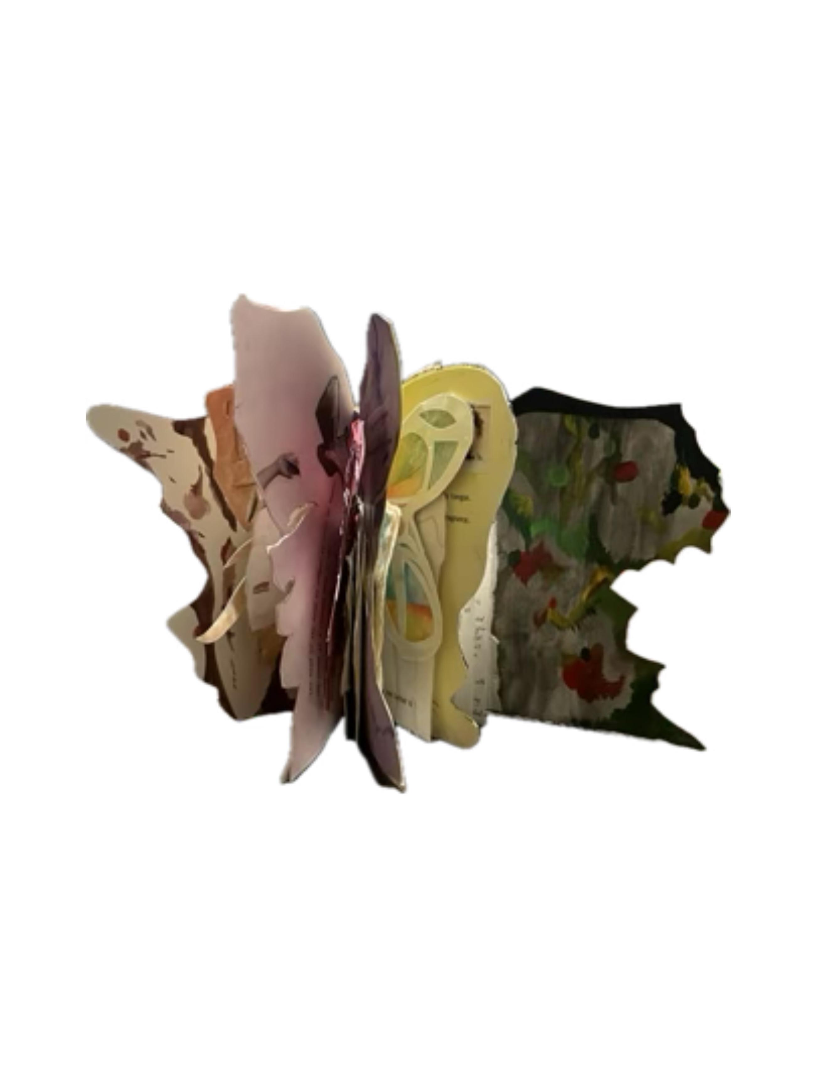 Butterfly Wings - Side View
