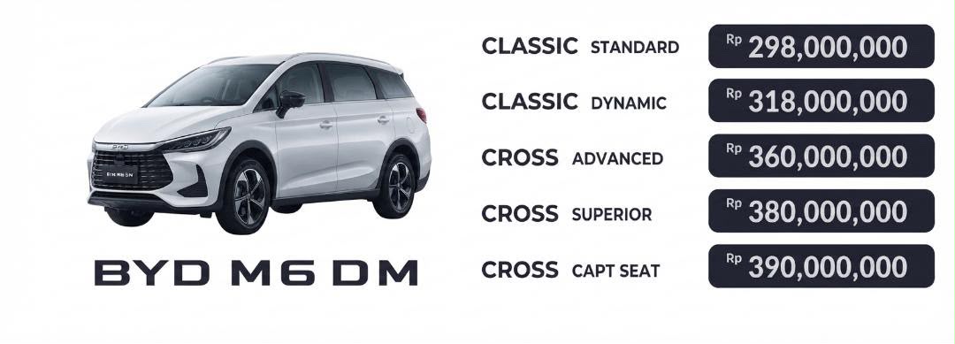 BYD M6 DM
