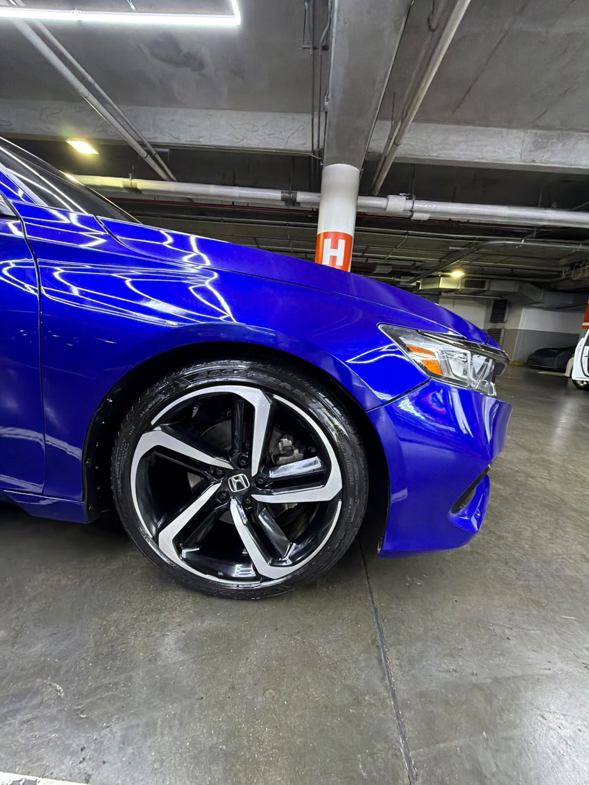 Shark Honda Accord azul, foto 2