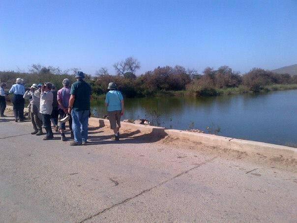 Visitors walking beside a wetland surrounded by trees