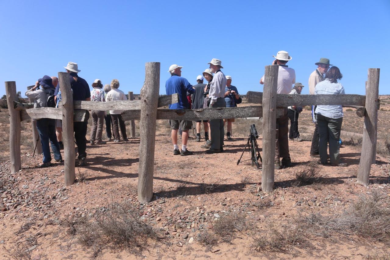 Group of birdwatchers gathered at a wooden observation platform