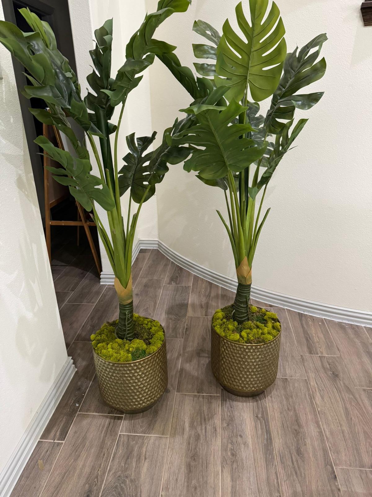 Artificial Tropical Plants