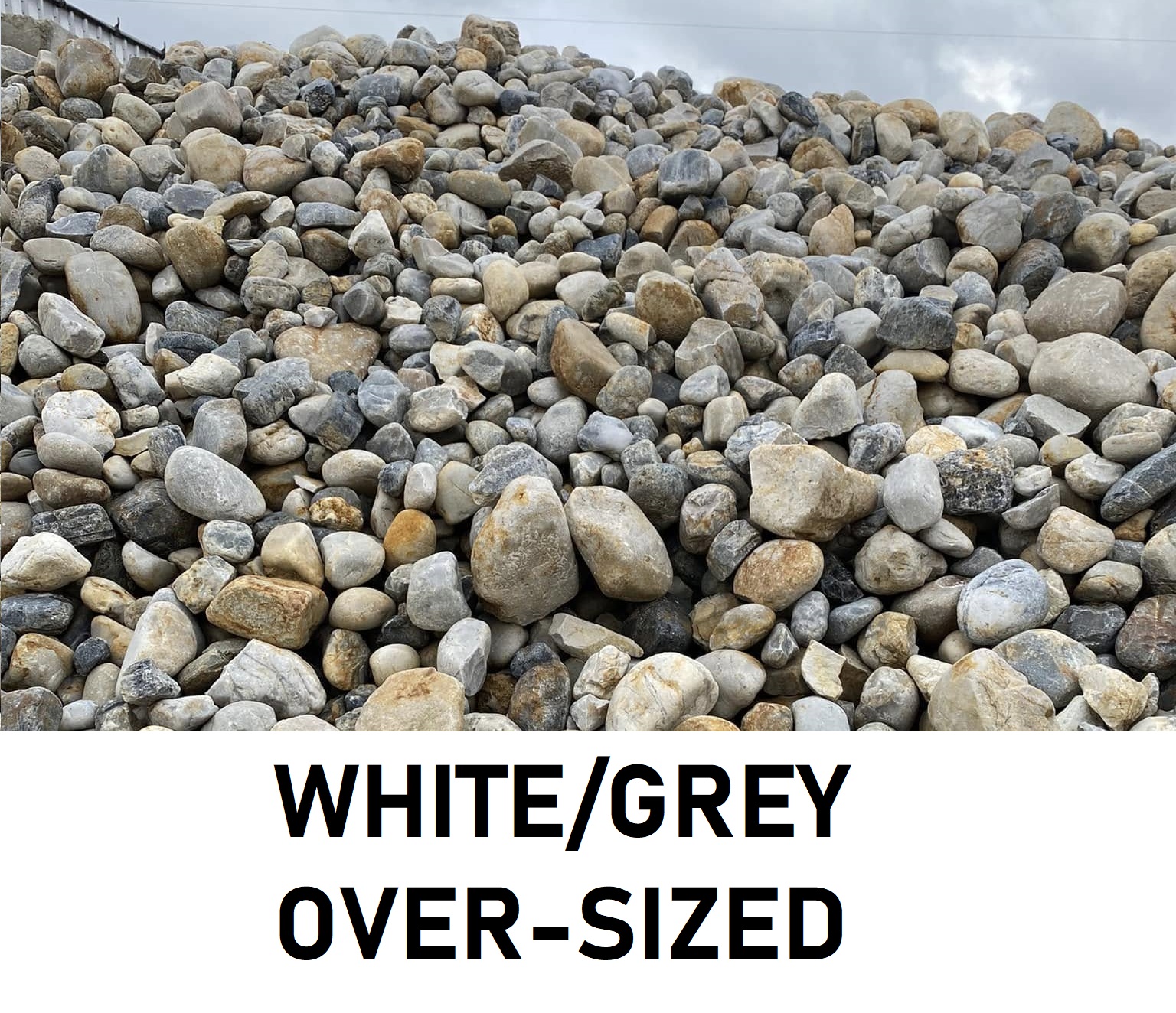 White/Grey Over-Sized