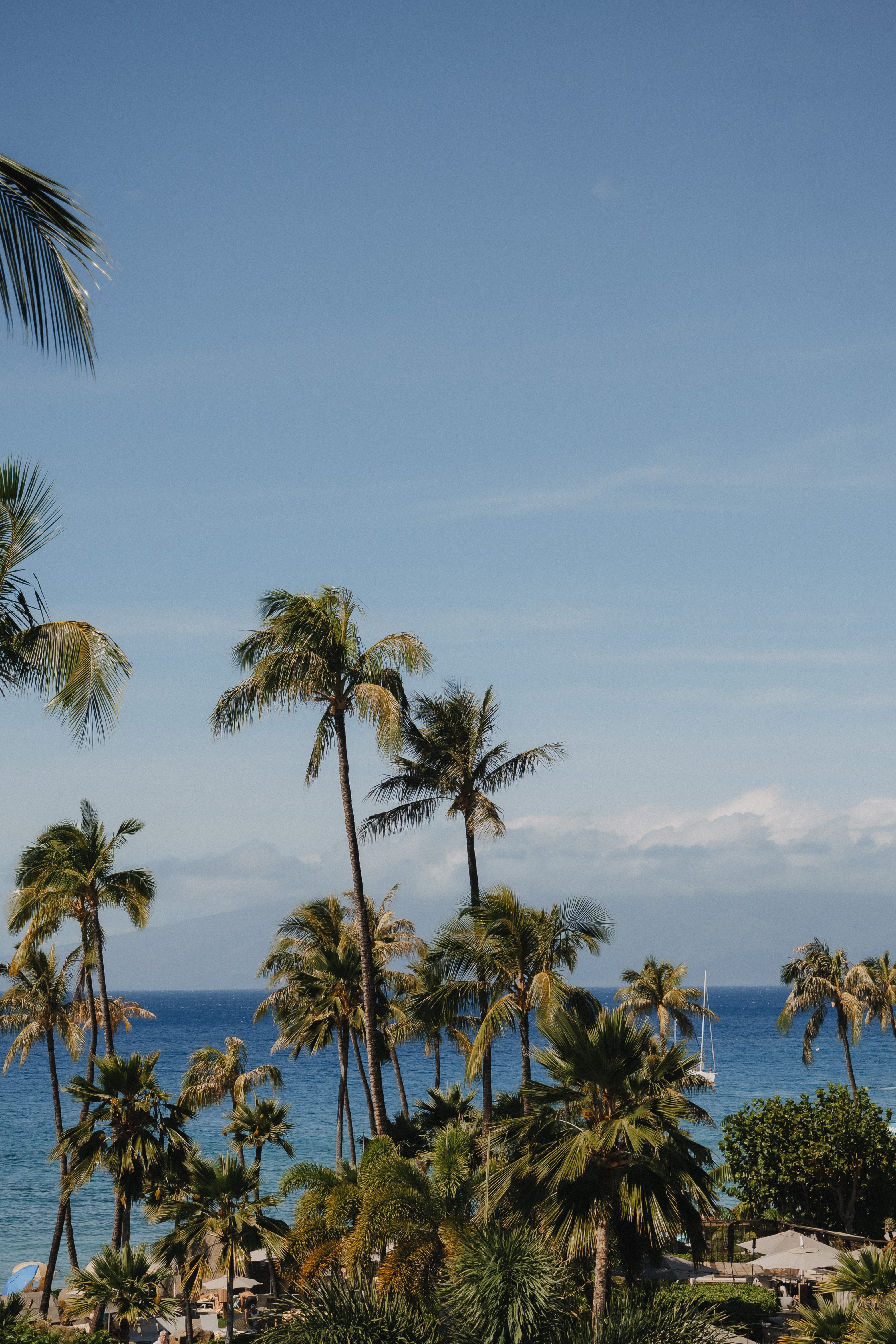 Why Choose Westin Maui - Image 1