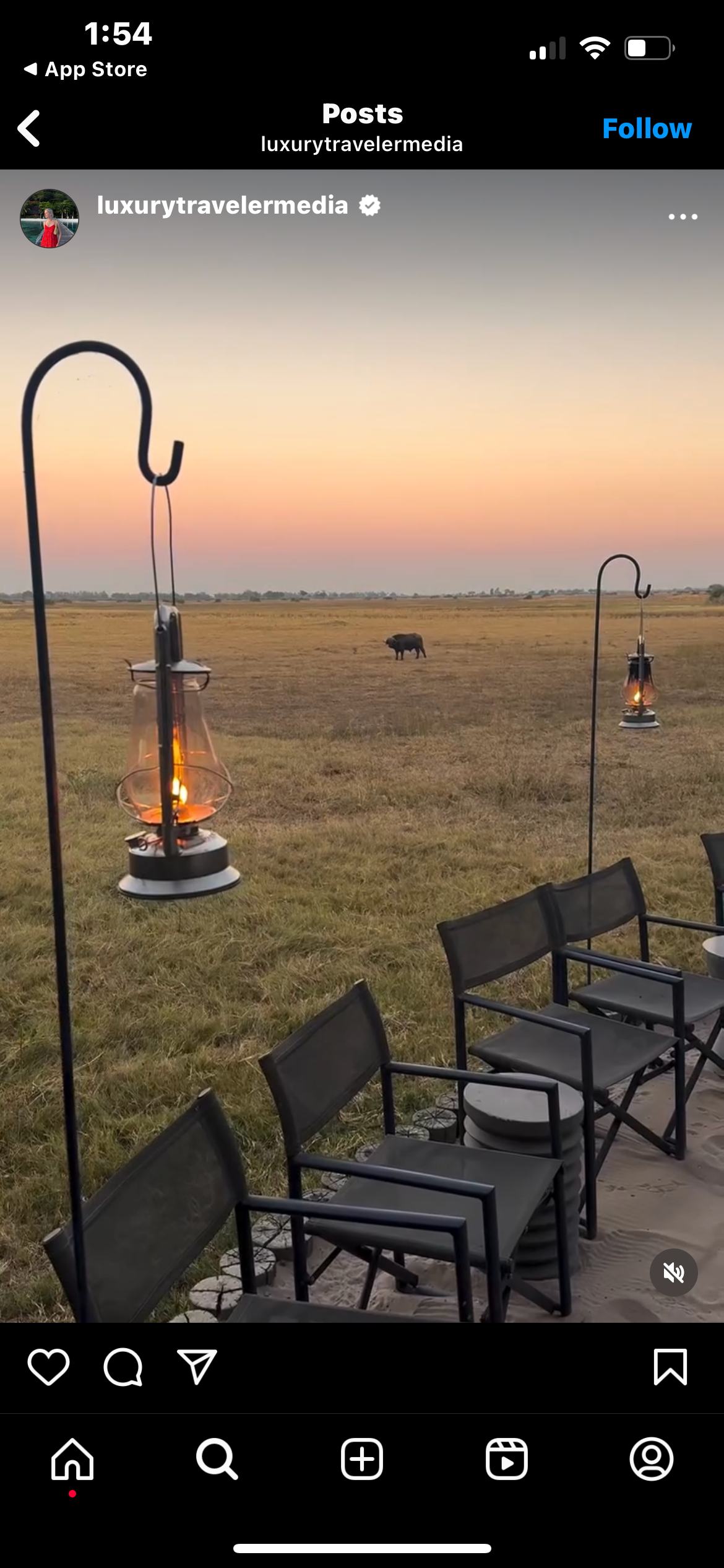 Wilderness safari experience with luxury amenities