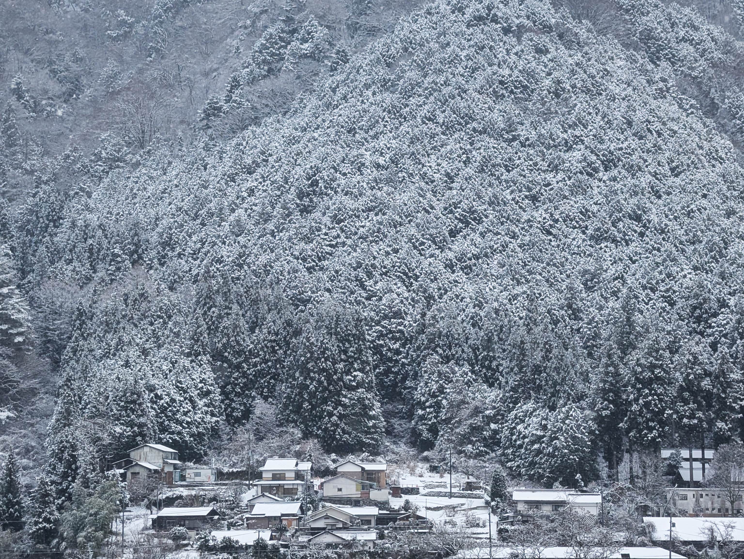 Winter