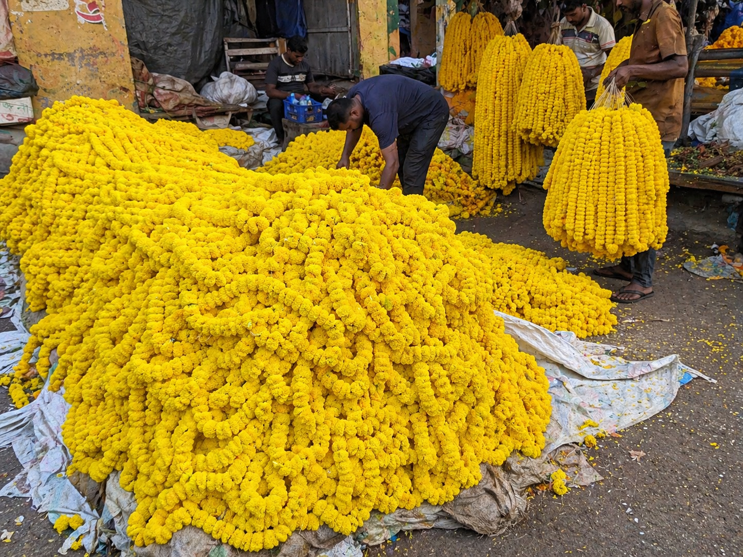 Fresh yellow marigold (genda) garlands at the mandi