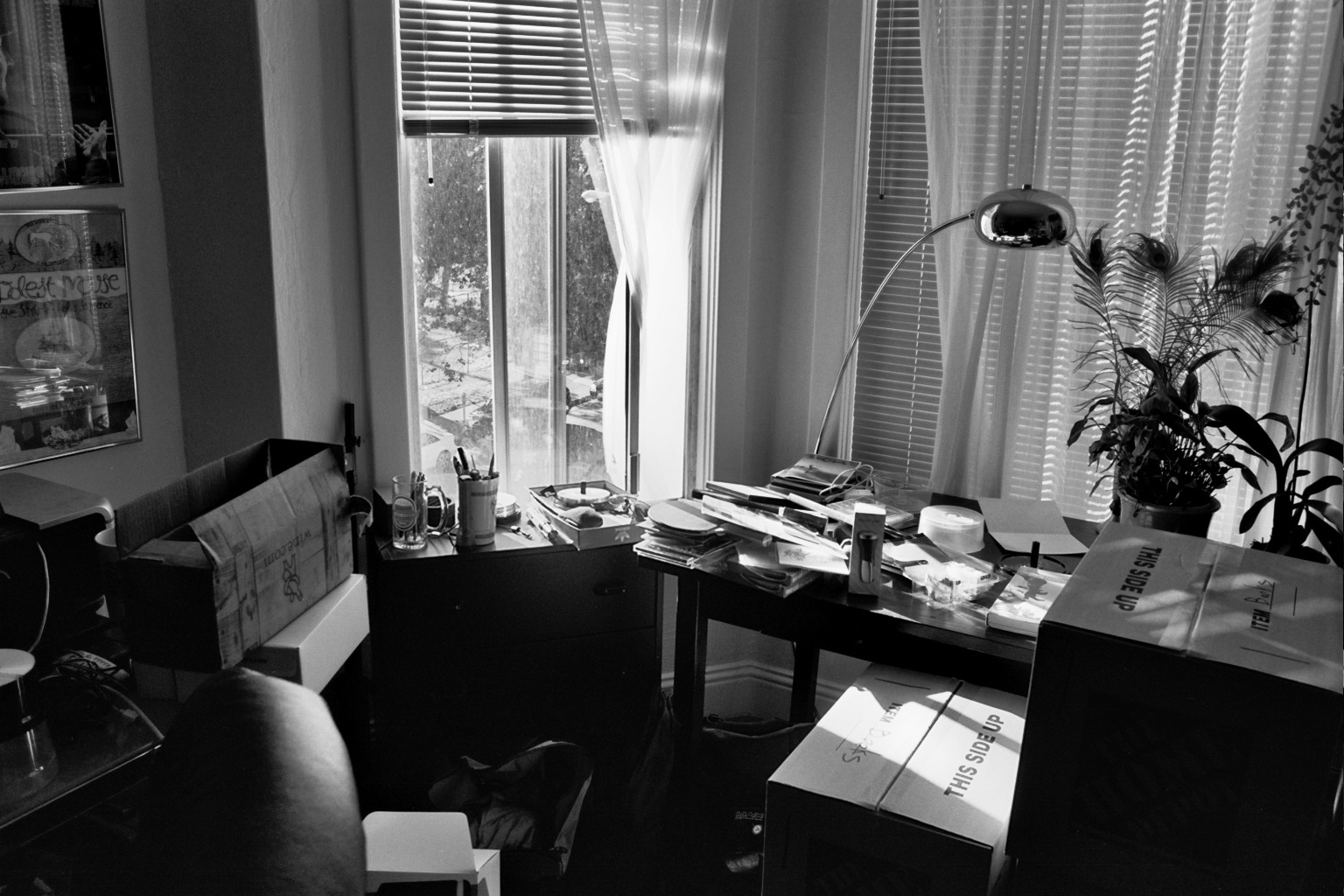 Minimalist office studio space with bright windows, venetian blinds creating patterns, plants, and organized workspace