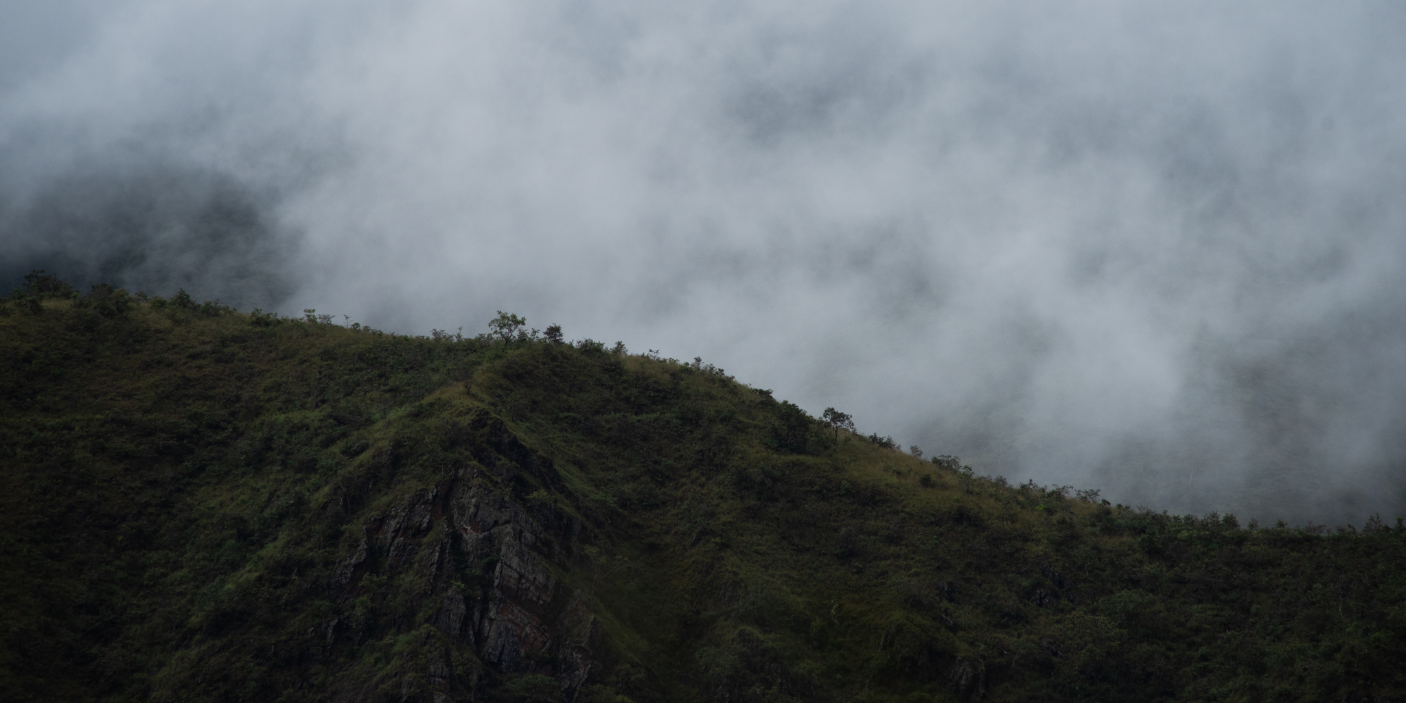 Green hillside with fog rolling over at top