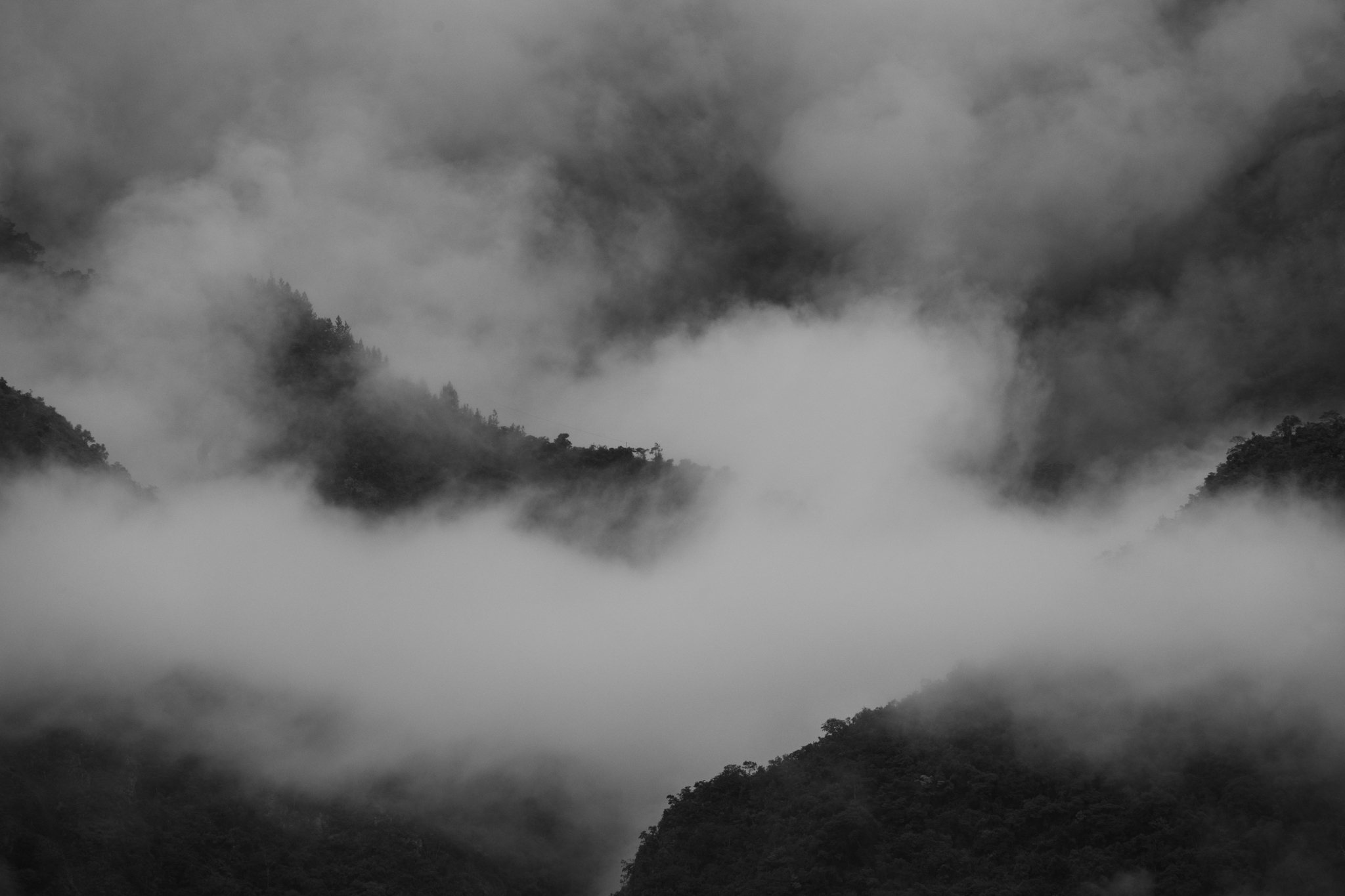 Misty mountains in grayscale with fog flowing through