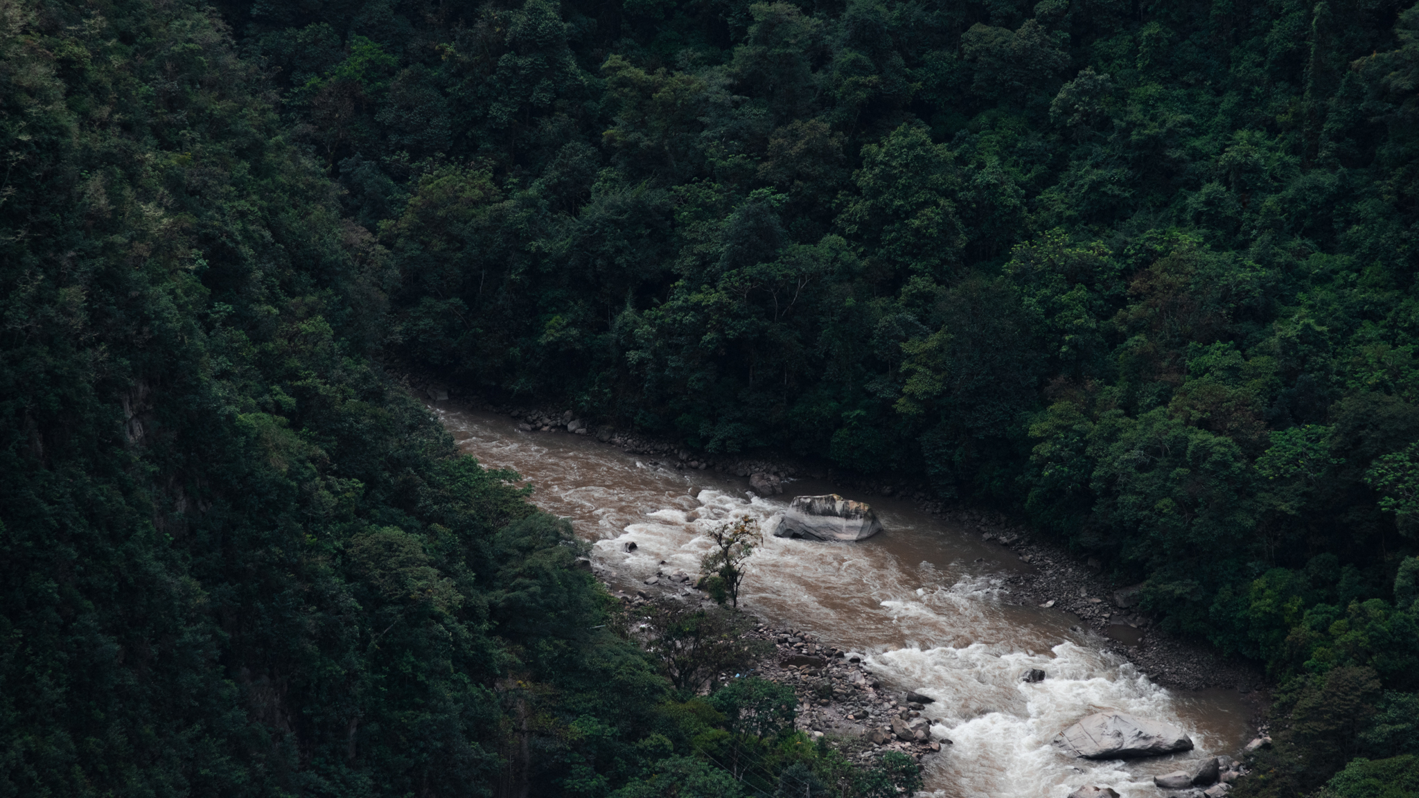 River running through dense jungle forest from above