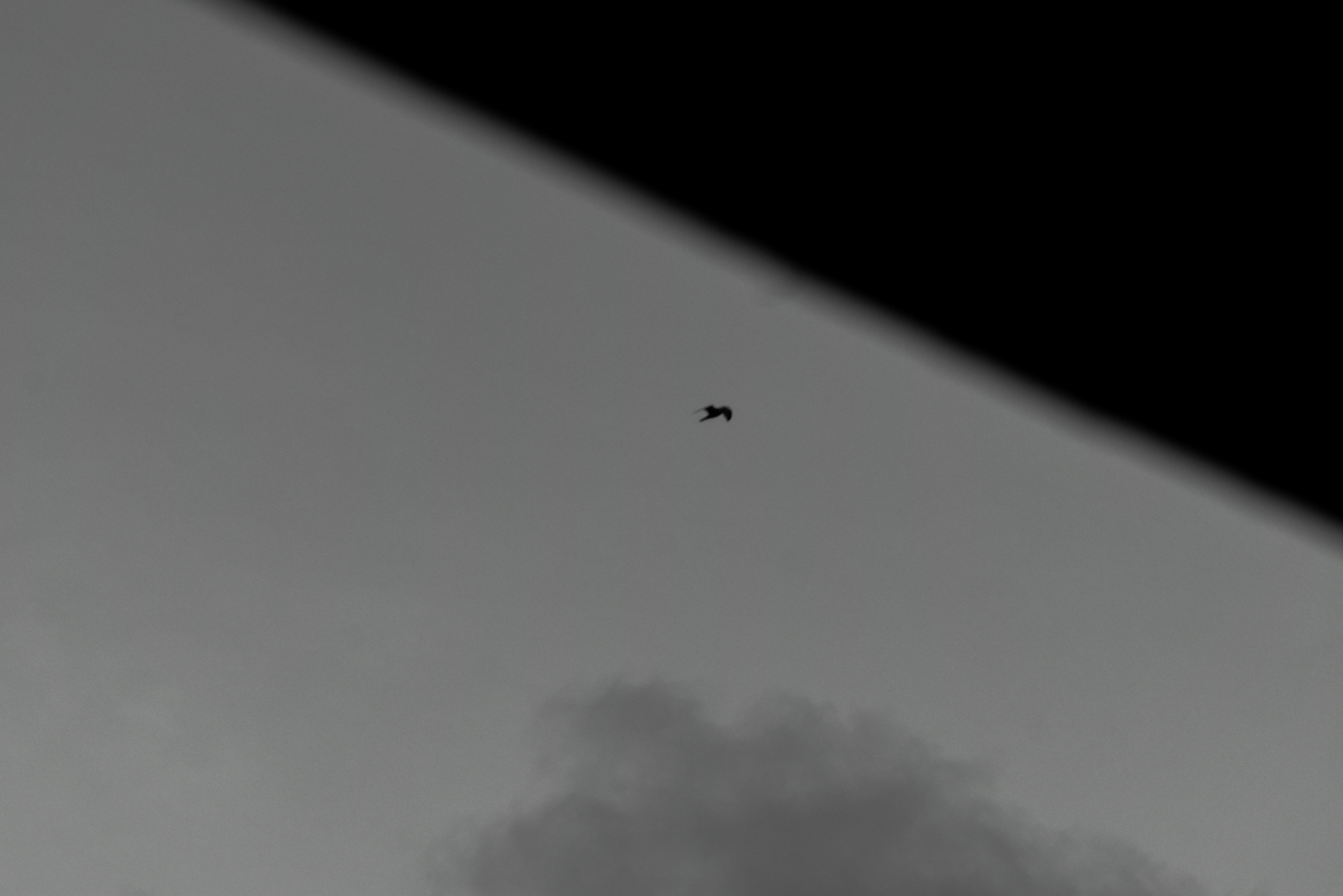 Layer 2