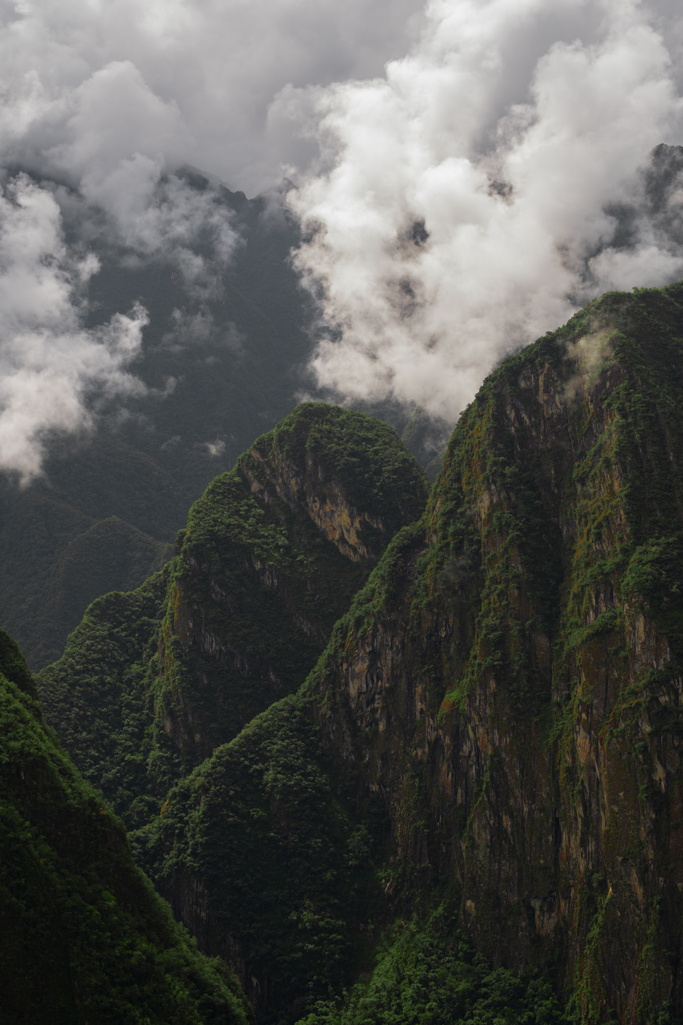 Dramatic jungle-covered mountains with clouds
