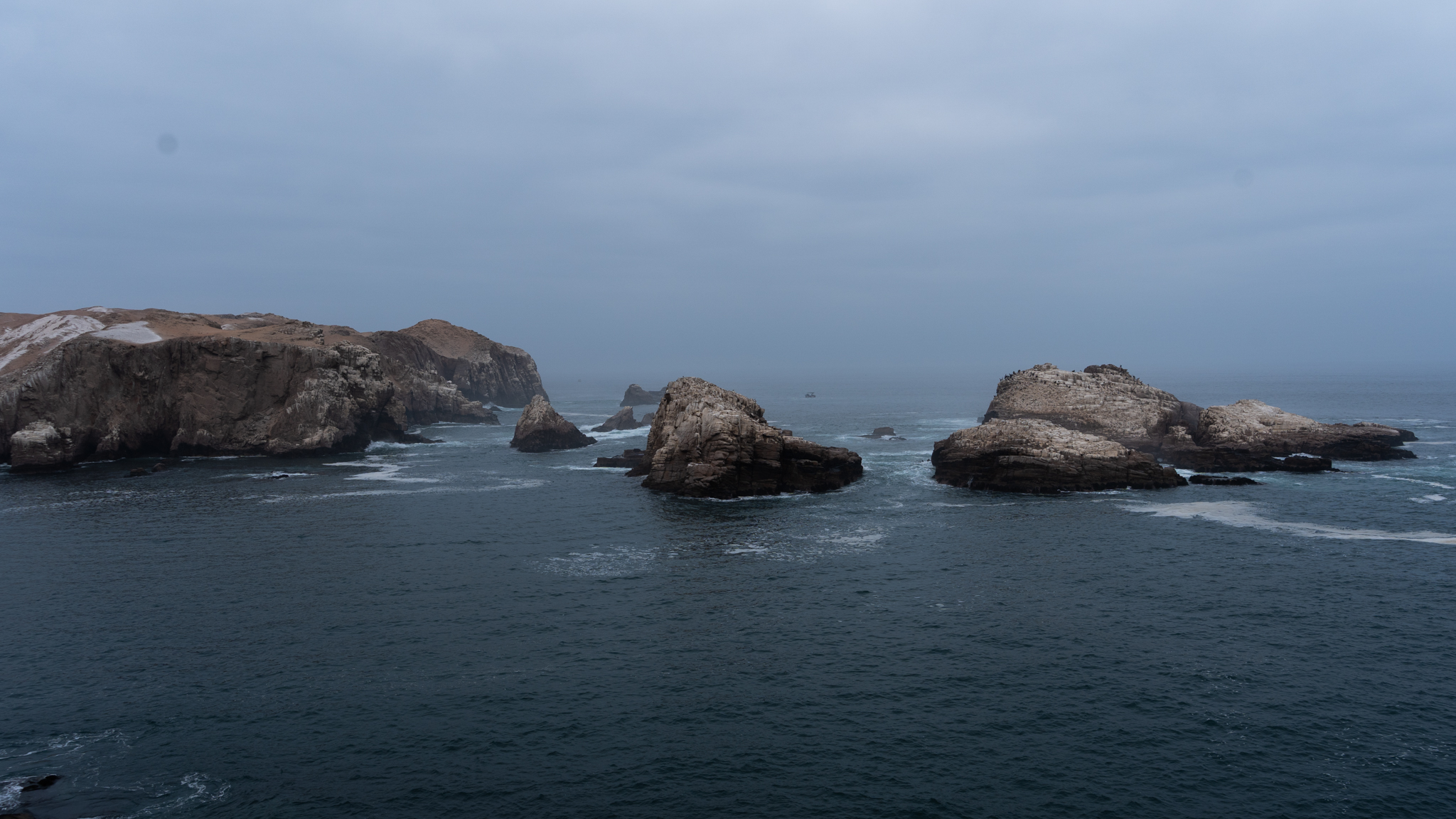Rocky coastline with sea stacks in misty conditions