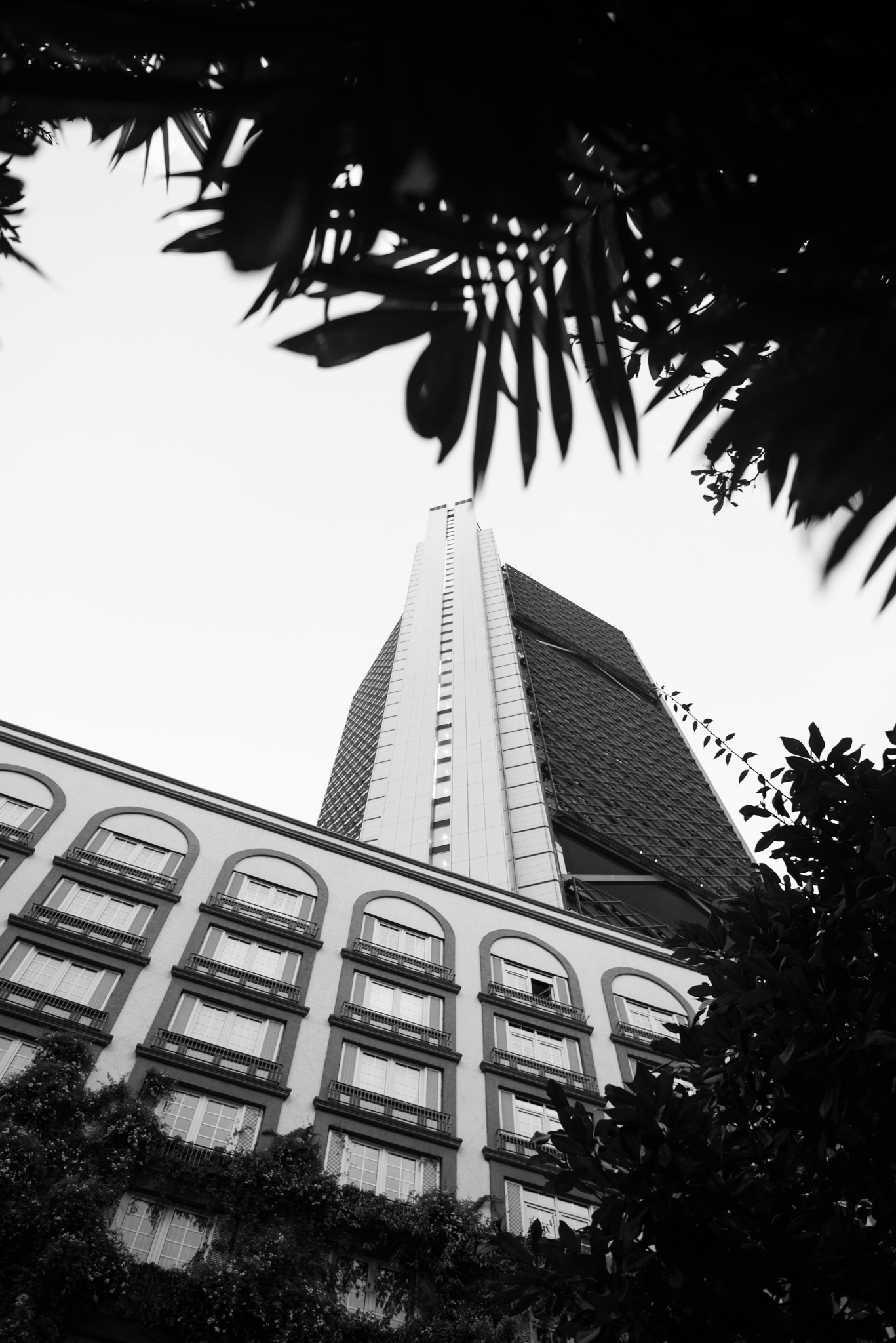 Looking up at skyscraper through palm fronds with classic architecture