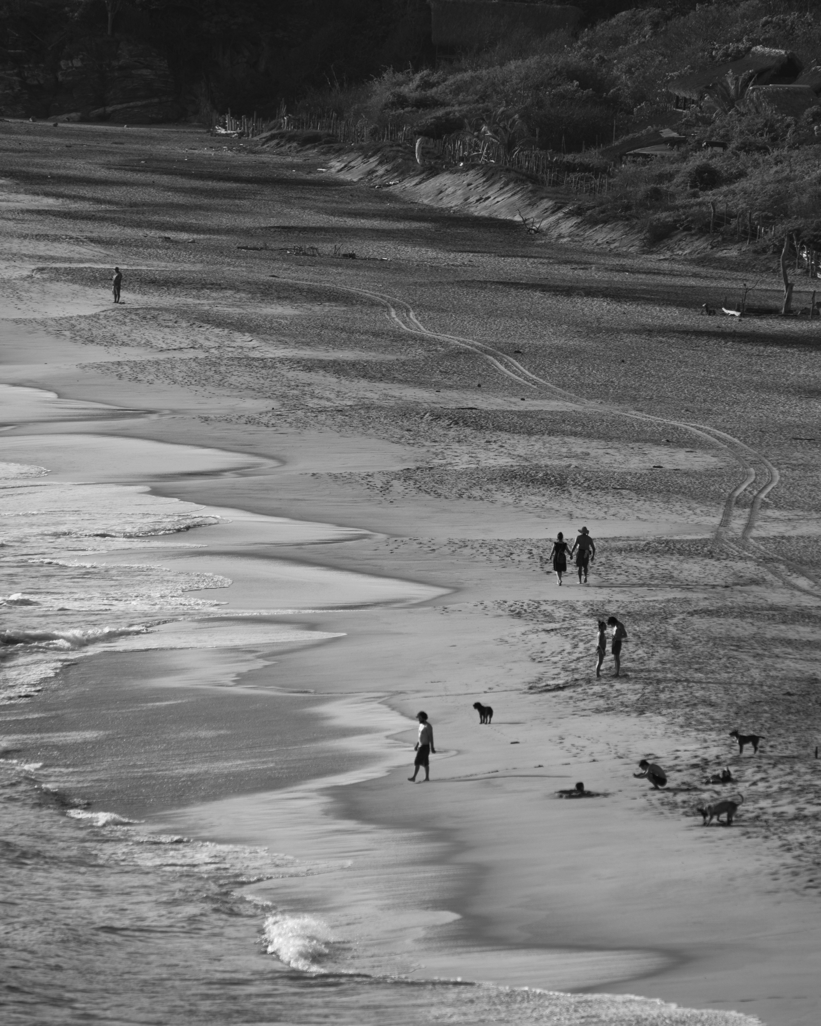 People walking on beach with waves from above