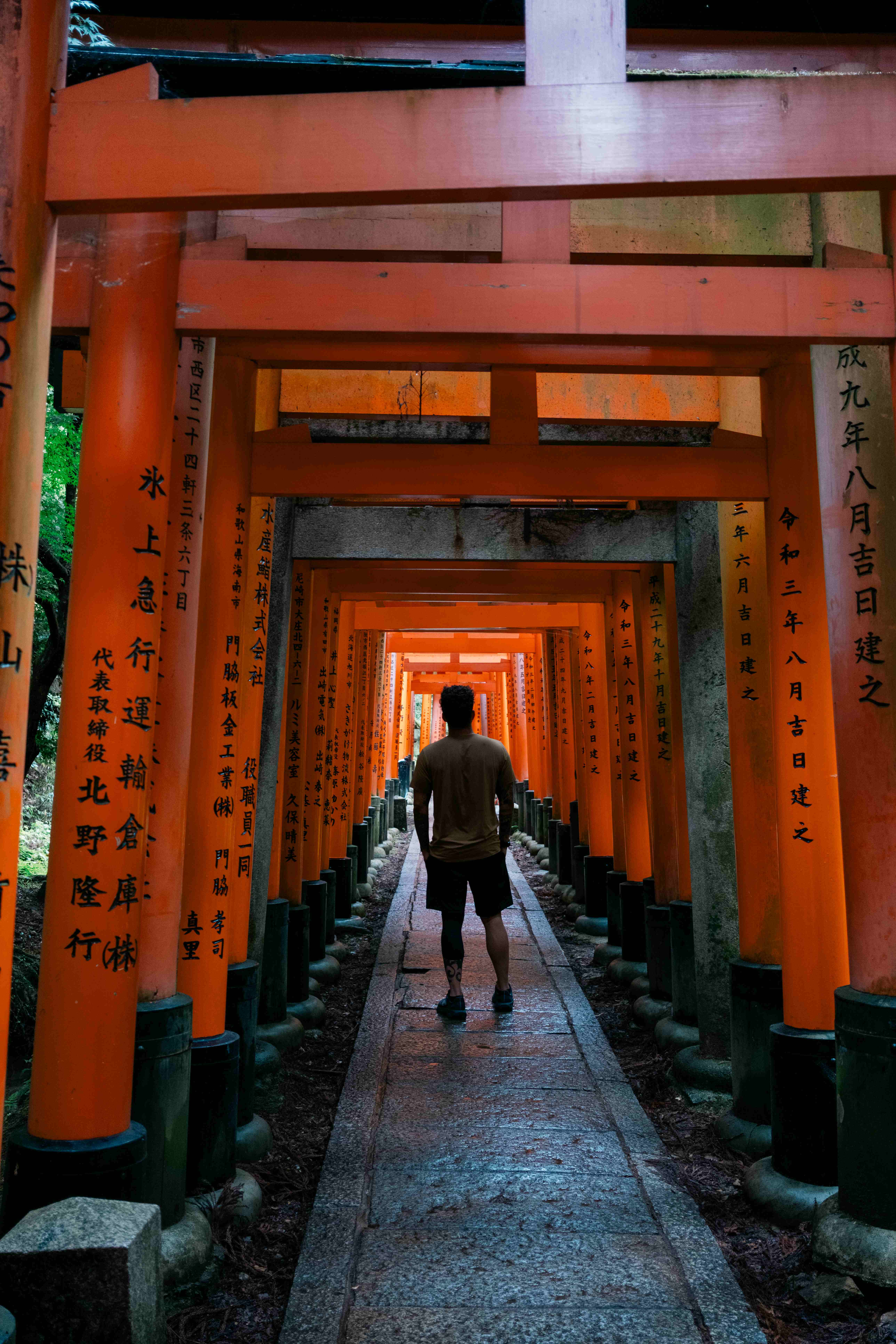 Walking through the orange torii gates of Fushimi Inari