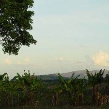 Tropische Vegetation mit Bananenpflanzen und Bergen unter bewölktem Abendhimmel