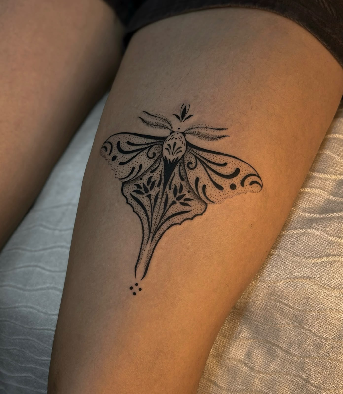 Mariposa decorativa com padrão botânico ornamental