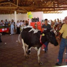 Folkloregruppe beim Auftritt im Freien