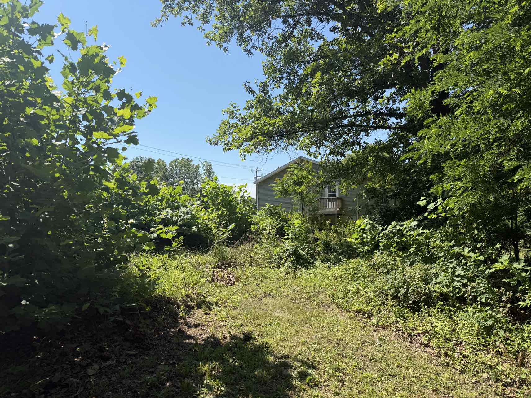 Property Cleanup