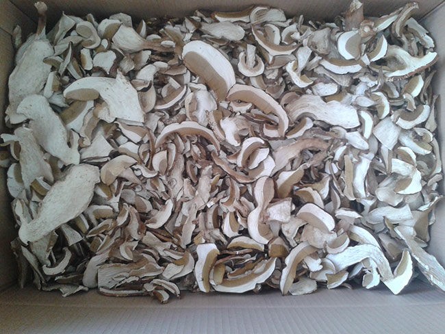 Dried porcini — AERUS DOOEL gallery