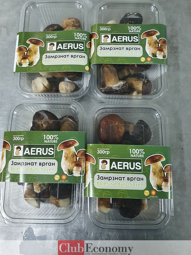 AERUS Frozen Porcini 300g — premium first-class wild mushrooms in retail packaging