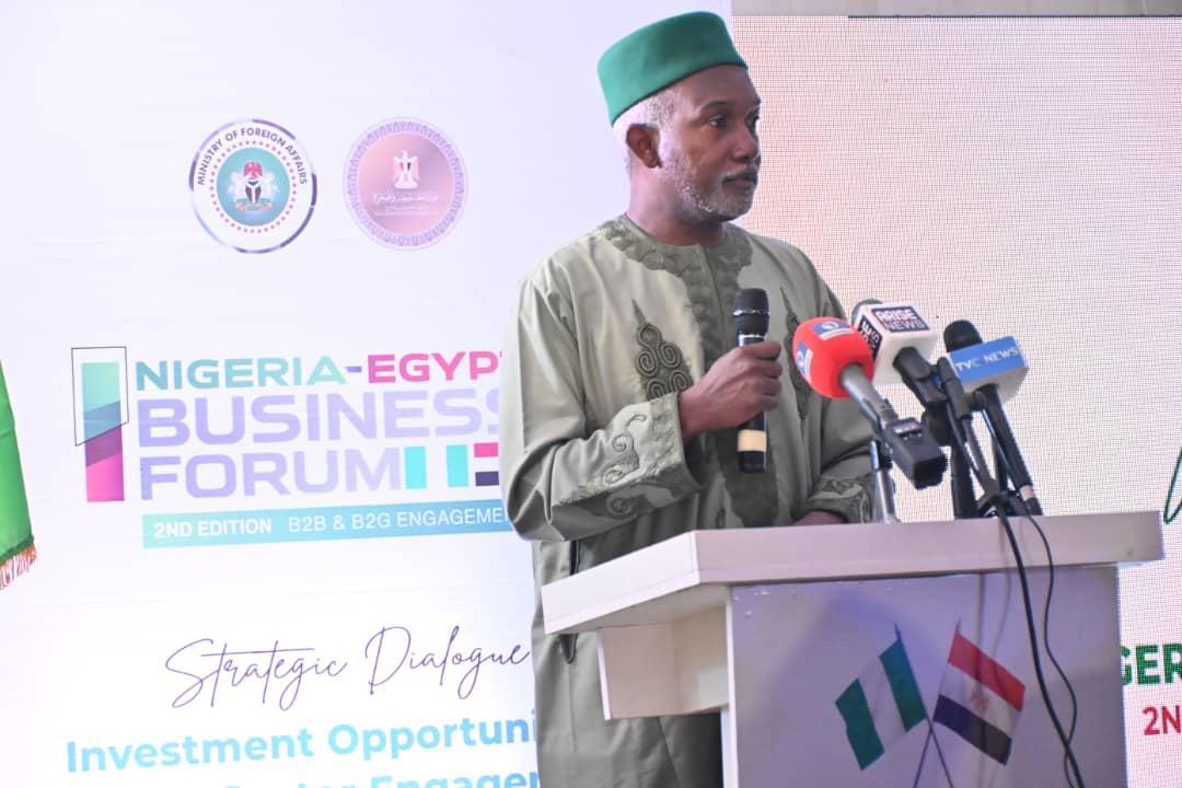 Speaker at Nigeria-Egypt Business Forum