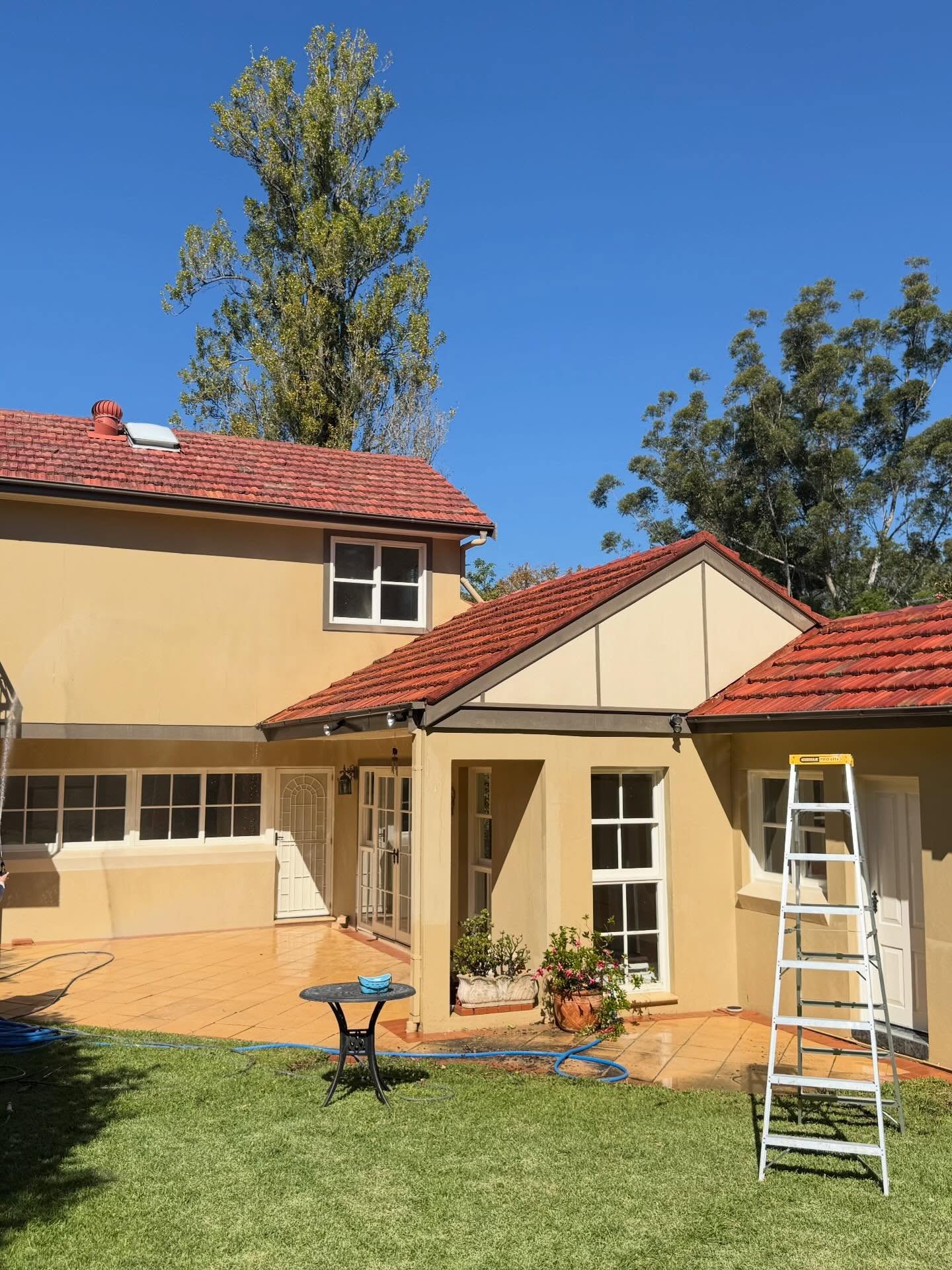 Professional exterior cleaning result