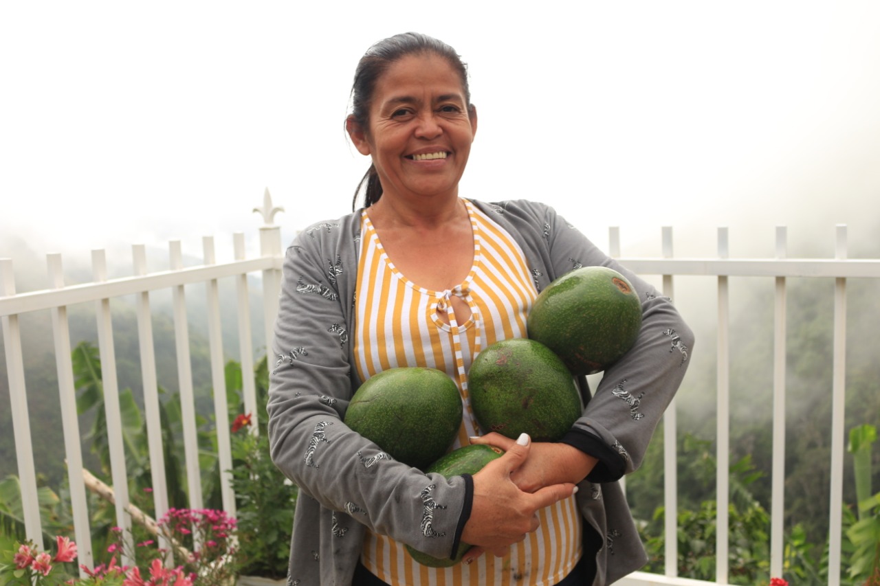 Productora de aguacates