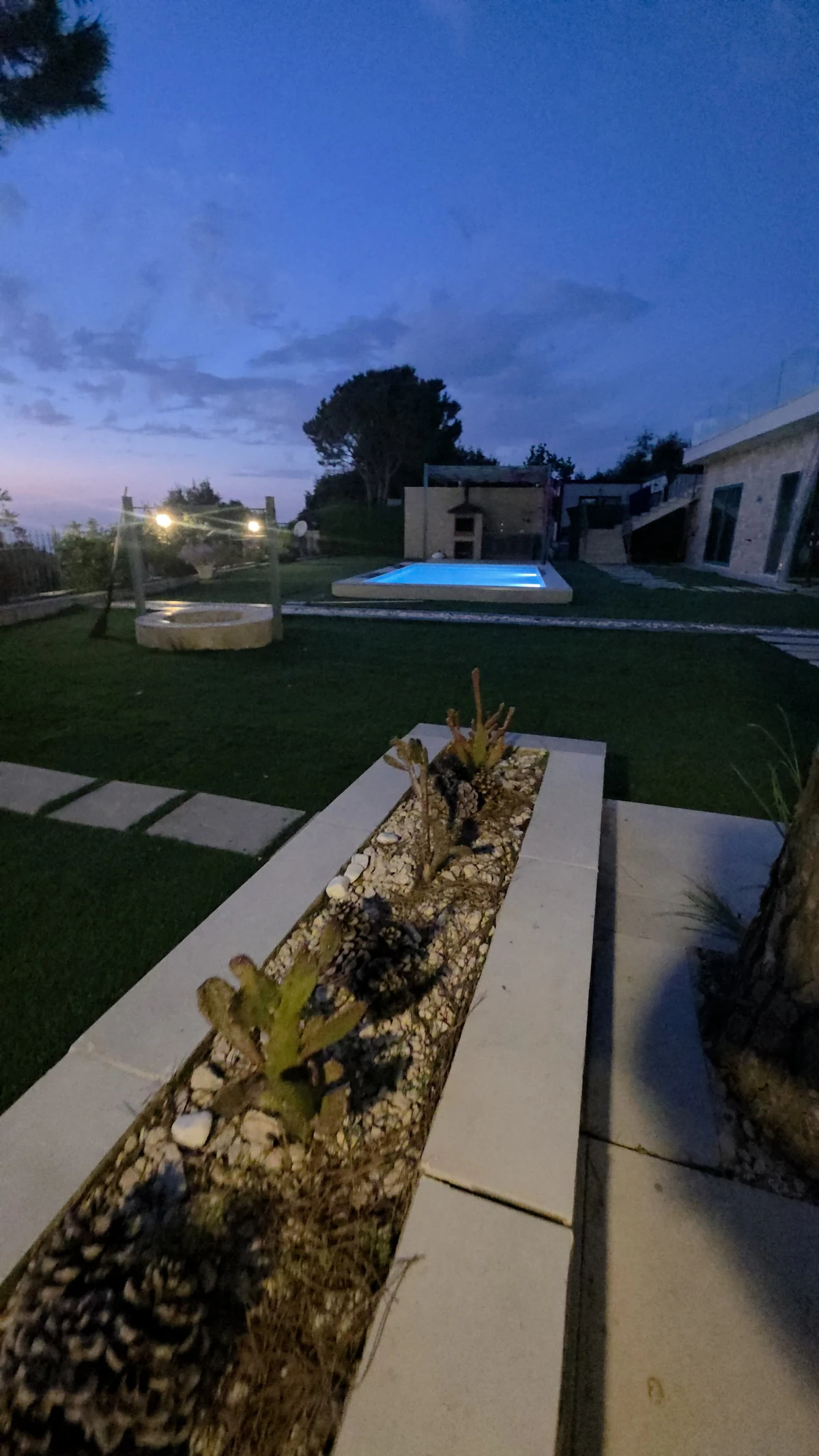 Garden at night