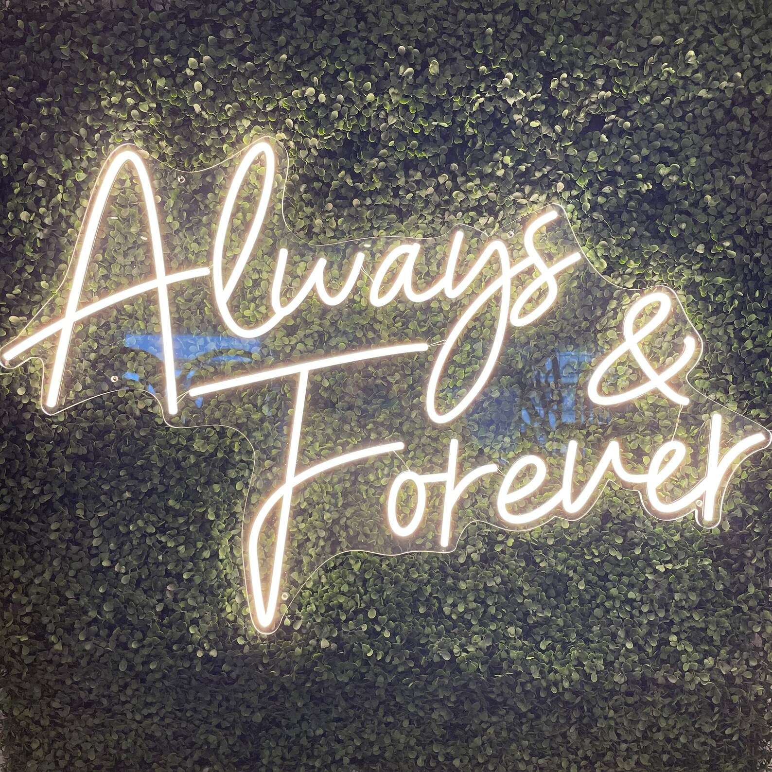 Always & Forever Neon
