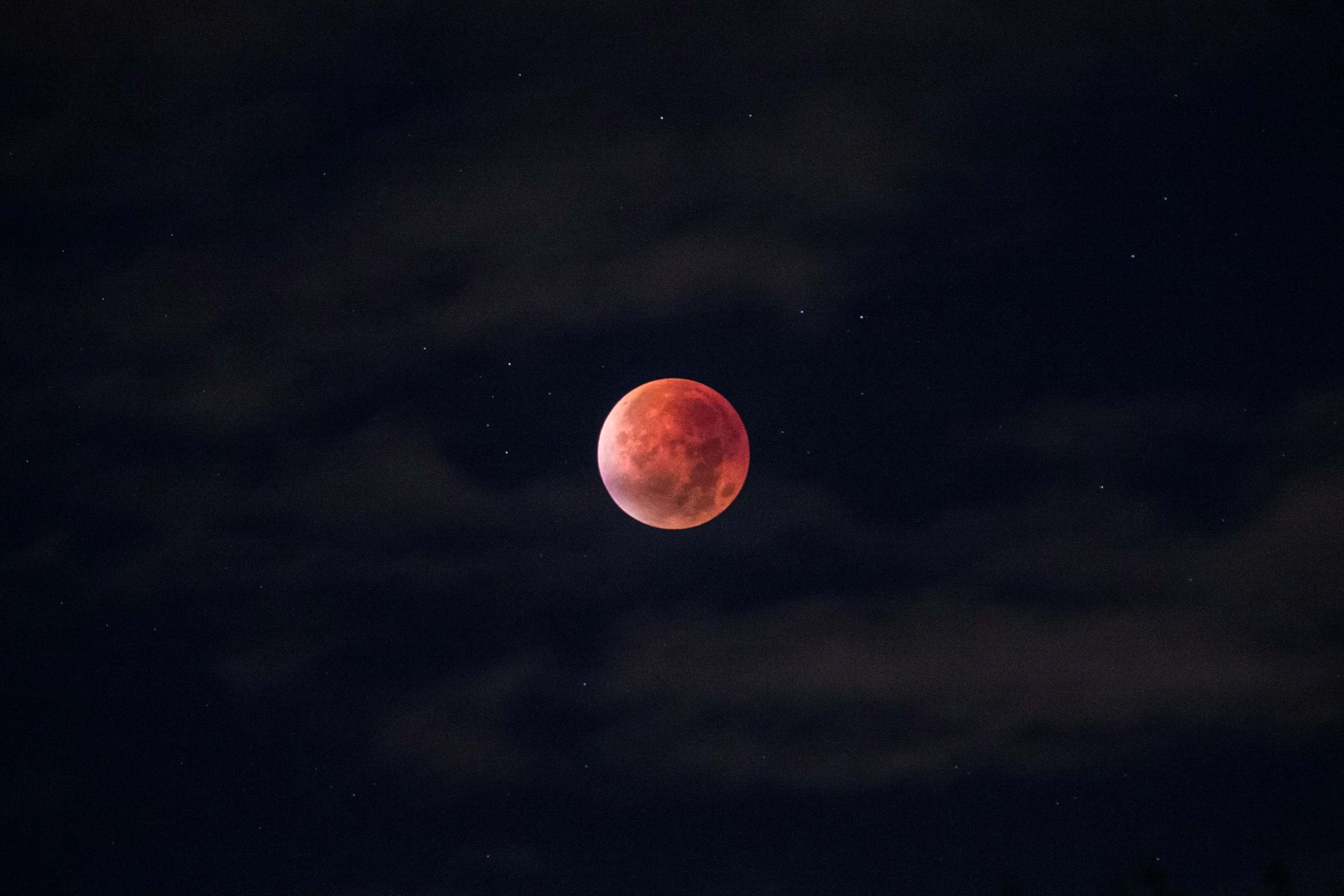 Blood moon in night sky