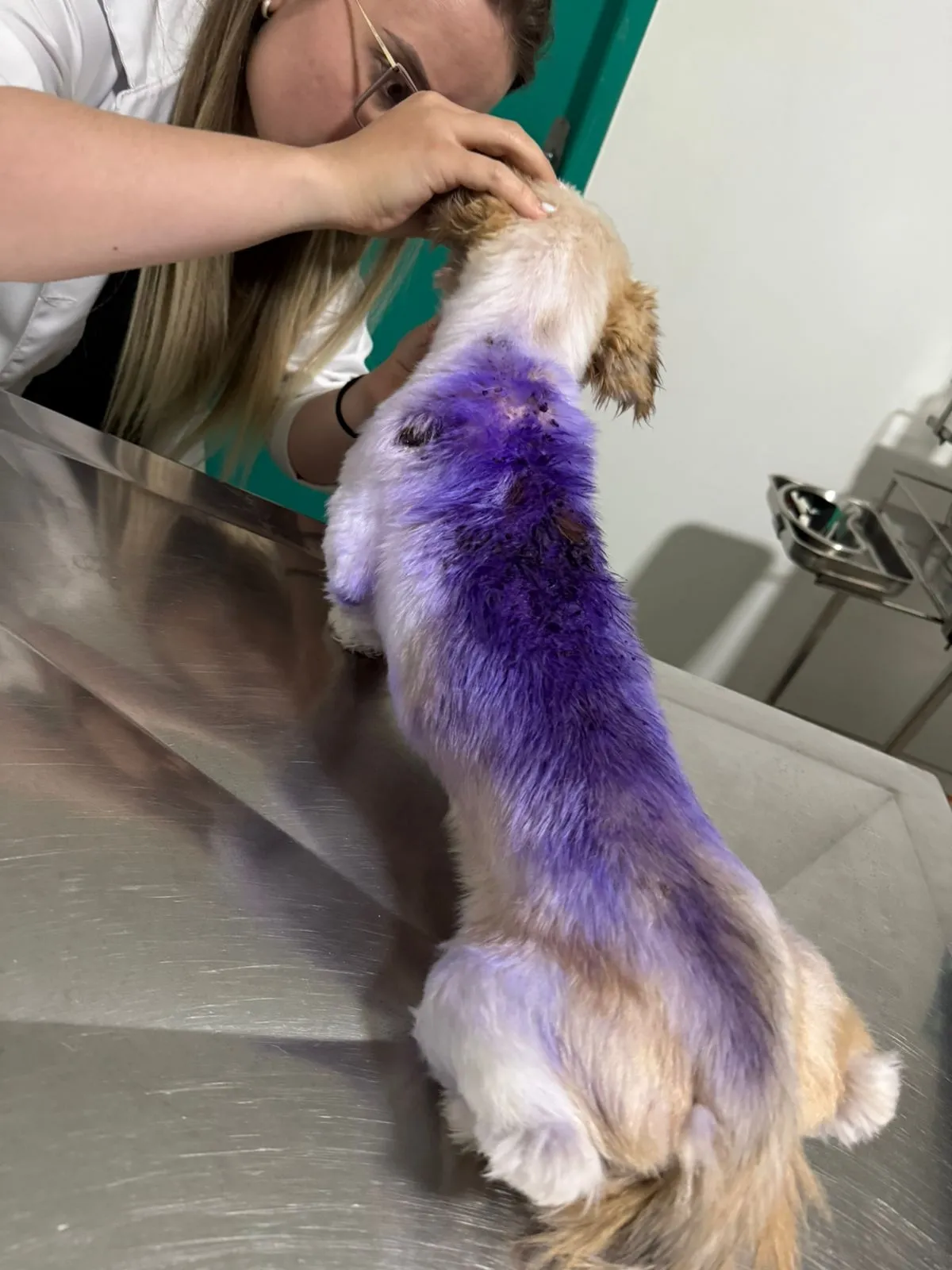 Pipoca antes do resgate