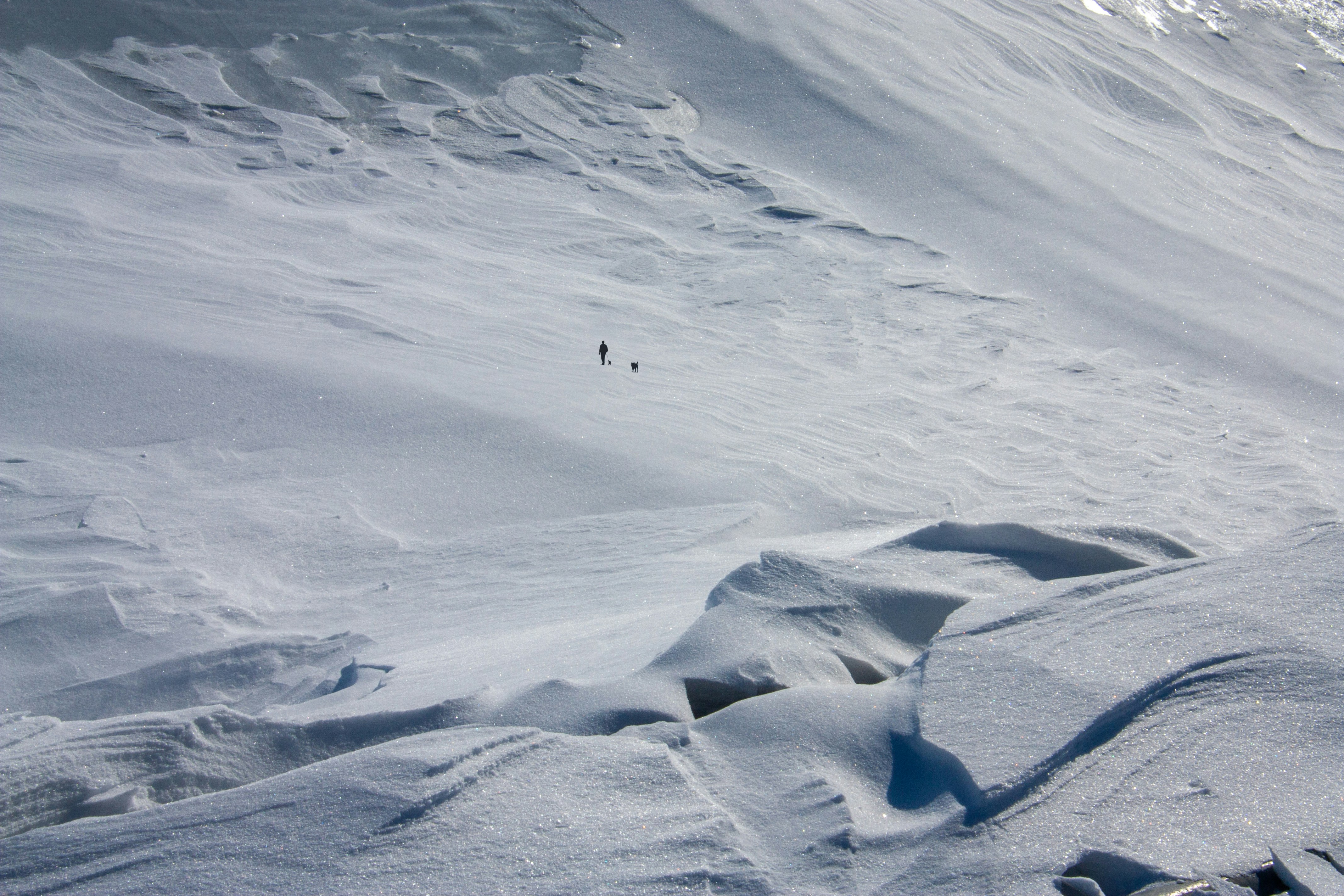 Tiny silhouette of a person and dog walking across a vast sunlit snowy landscape