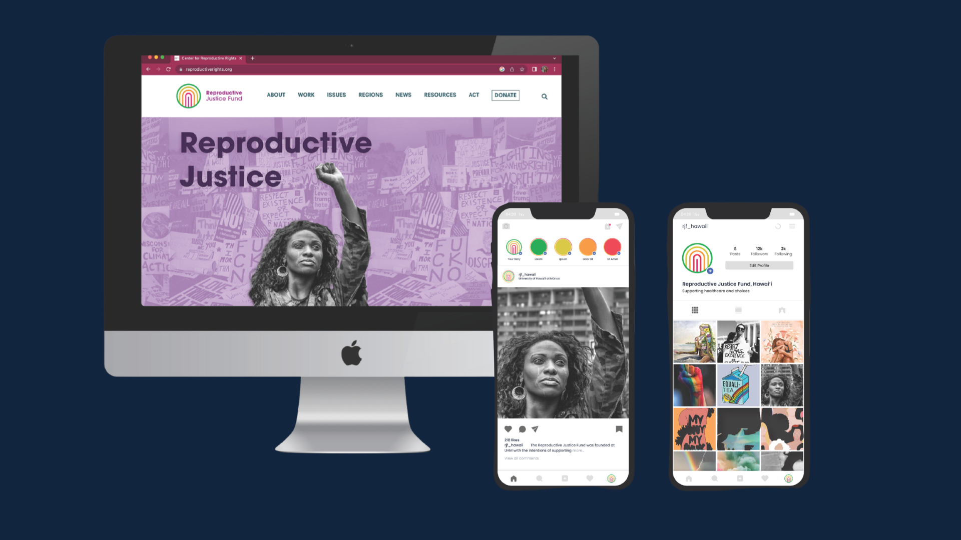 Reproductive Justice System