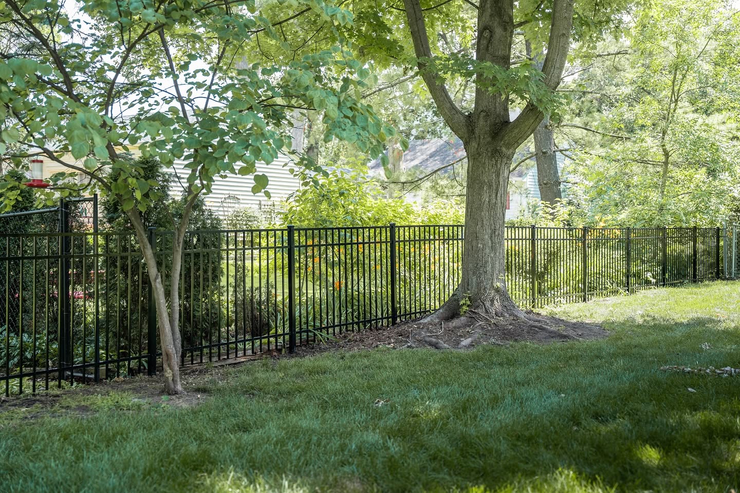 Black steel fencing around a corner yard with large trees and lush gardens