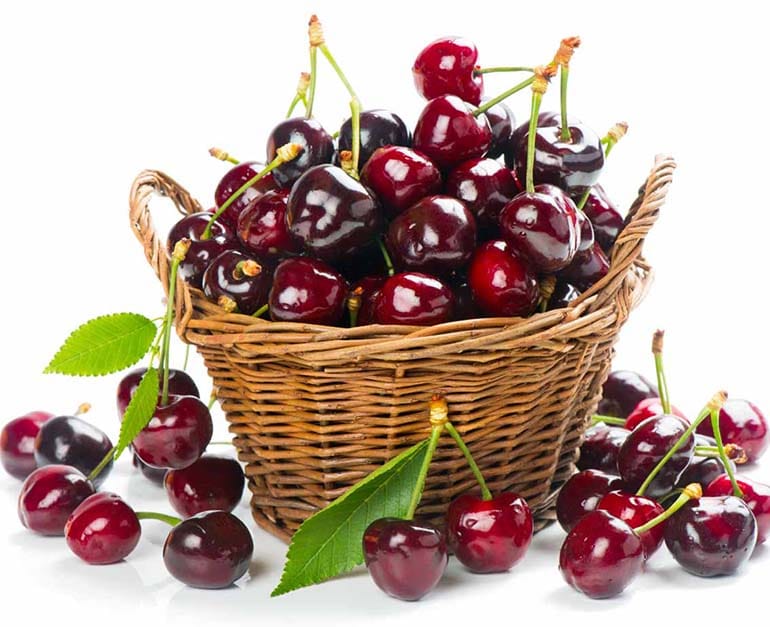 Fresh dark cherries in a wicker basket