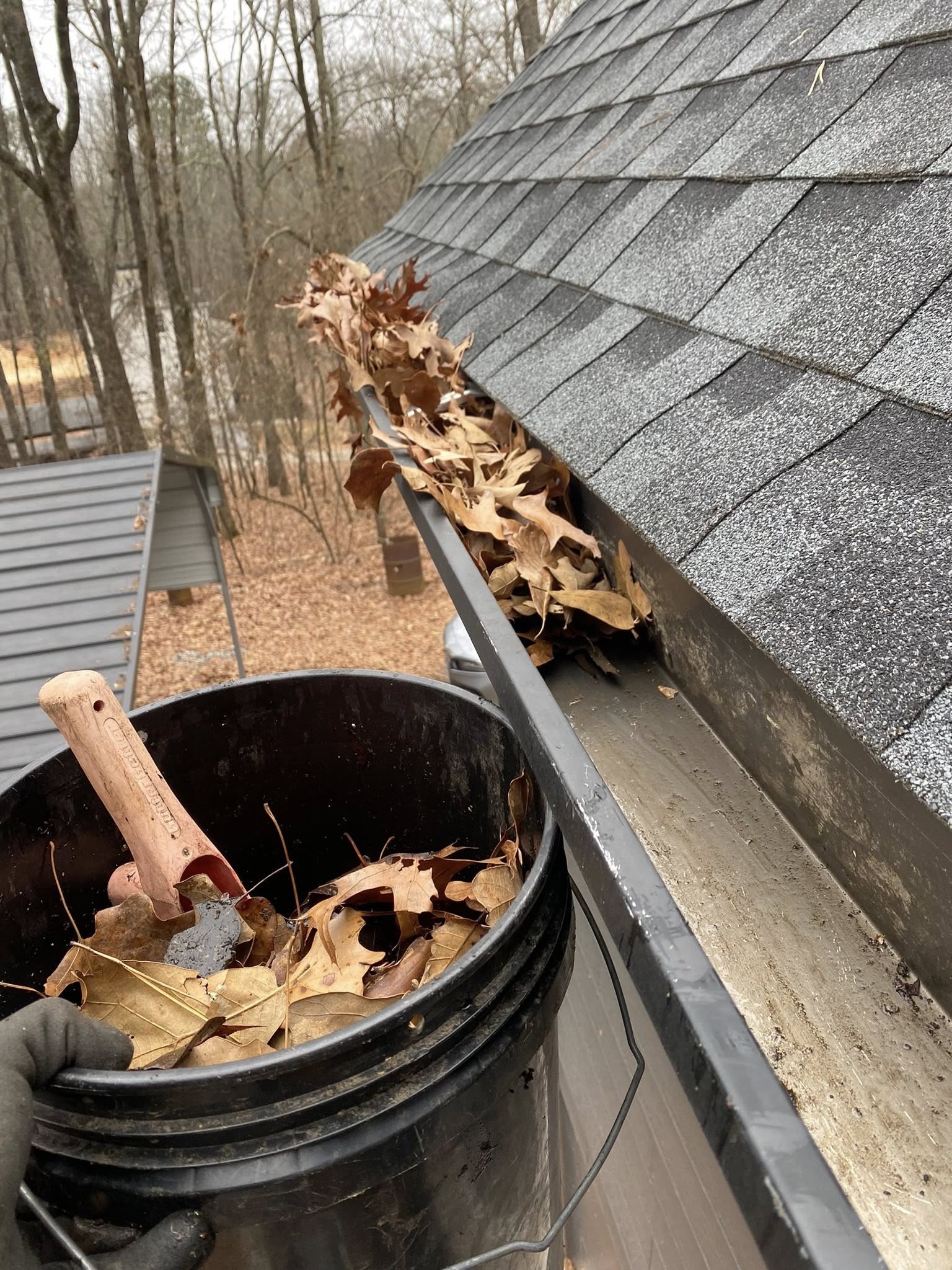 Gutter packed with autumn leaves alongside a collection bucket