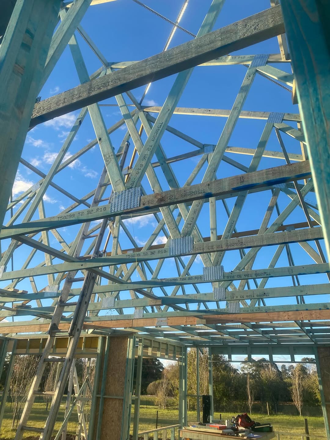 Steel roof trusses and timber frame viewed from inside — complex geometric structure against blue sky