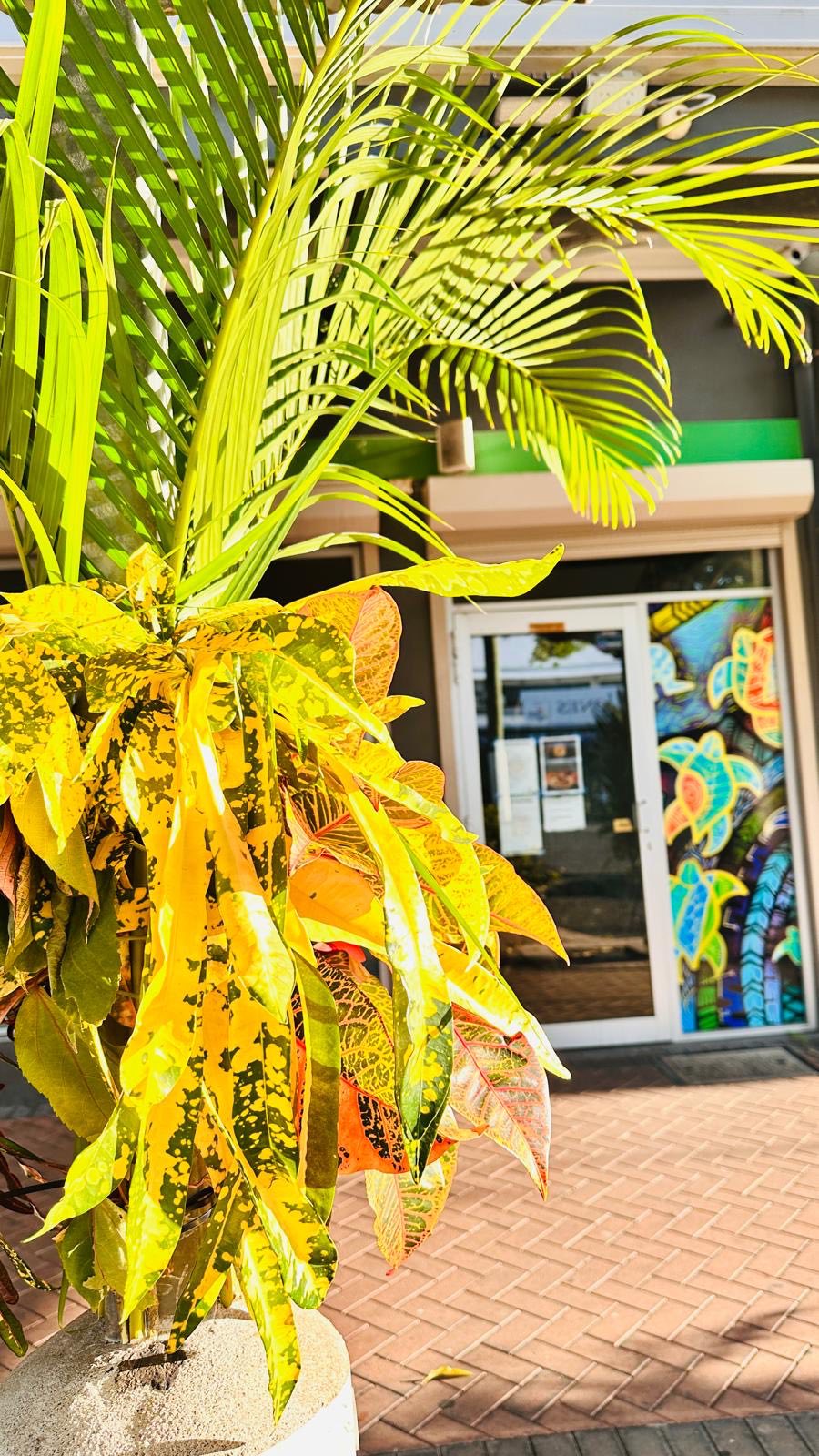 Entrance to Island Rooster Uncle Frankie's Cafe on Thursday Island, featuring tropical plants and colourful turtle artwork on the door