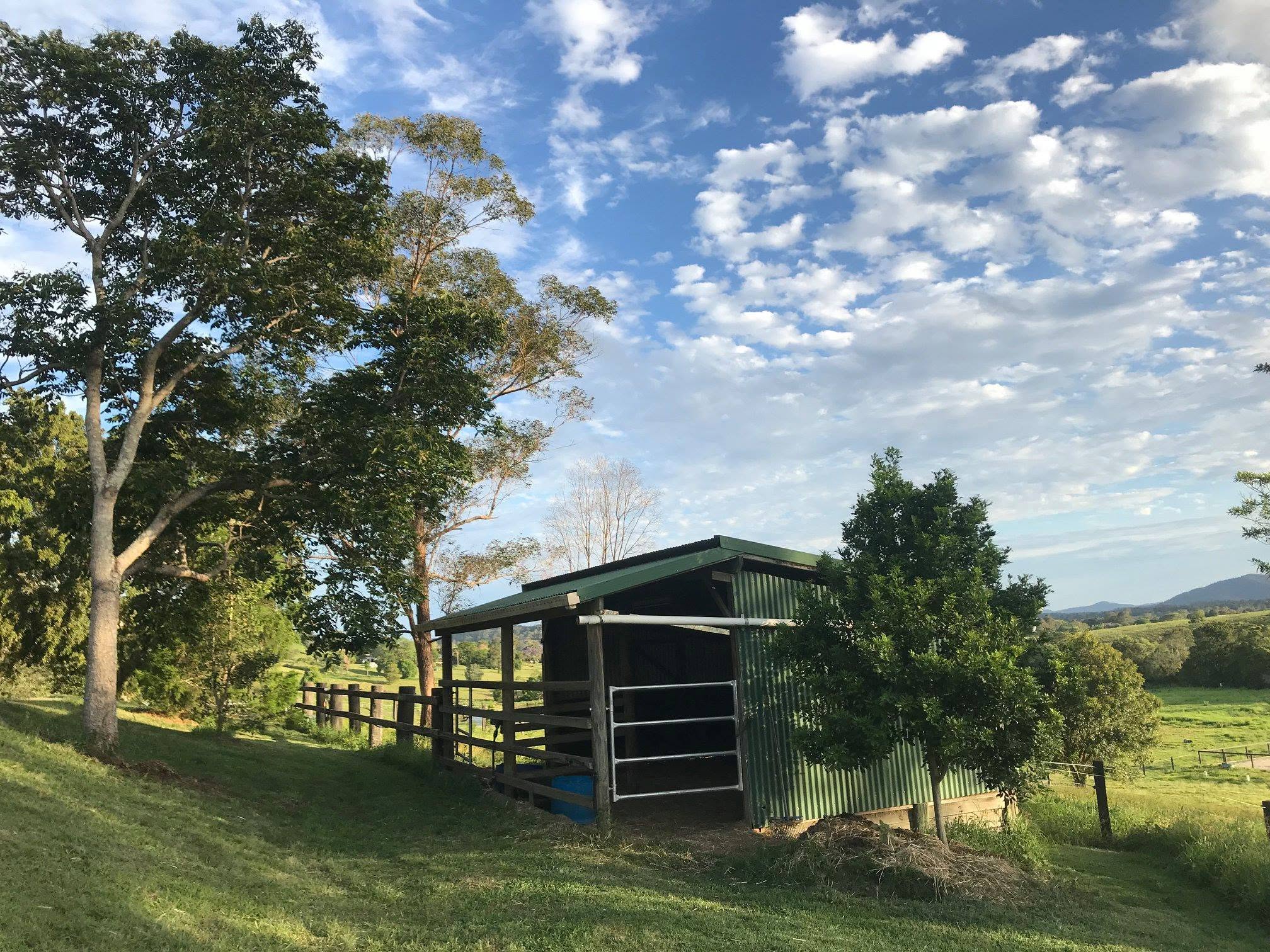 Stable shelter and paddock on the 40-acre Dayboro Valley property