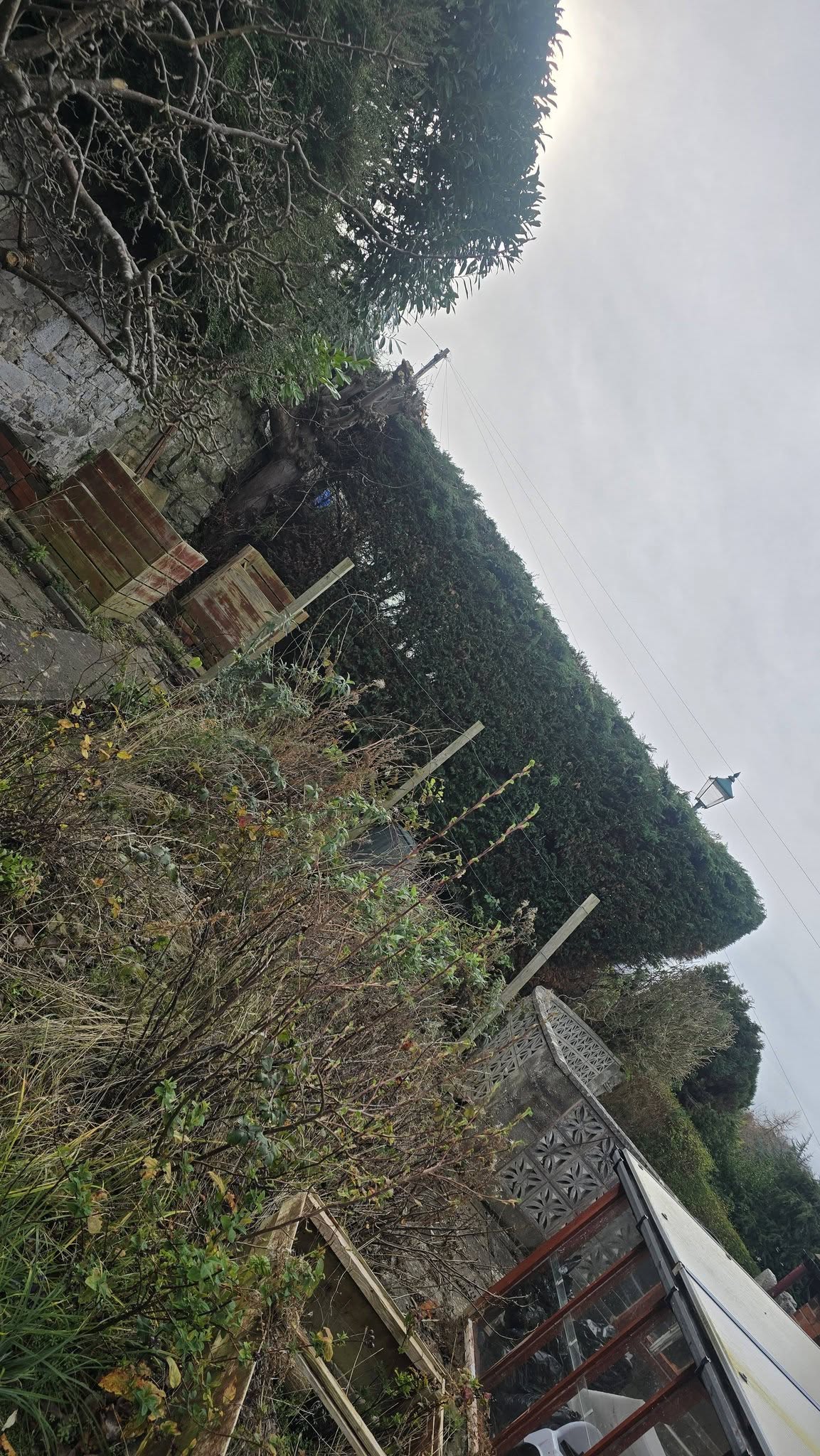 Newly installed stone retaining wall with trimmed hedge boundary — Branching Out fencing and retaining wall work