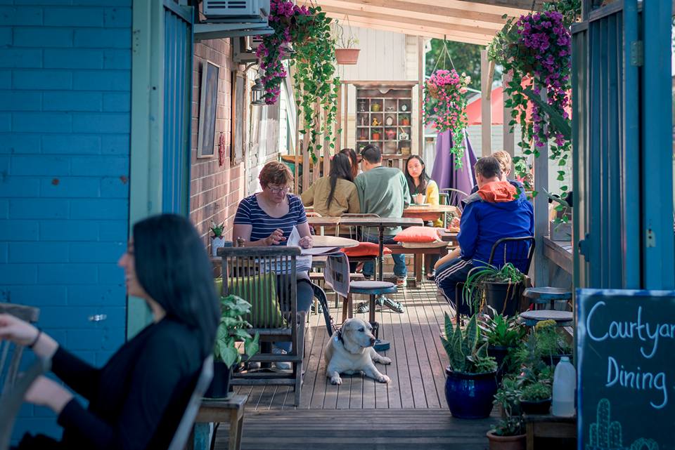 The Monday Morning Cafe courtyard dining area with hanging purple flowers, potted plants, and a golden dog resting under a table