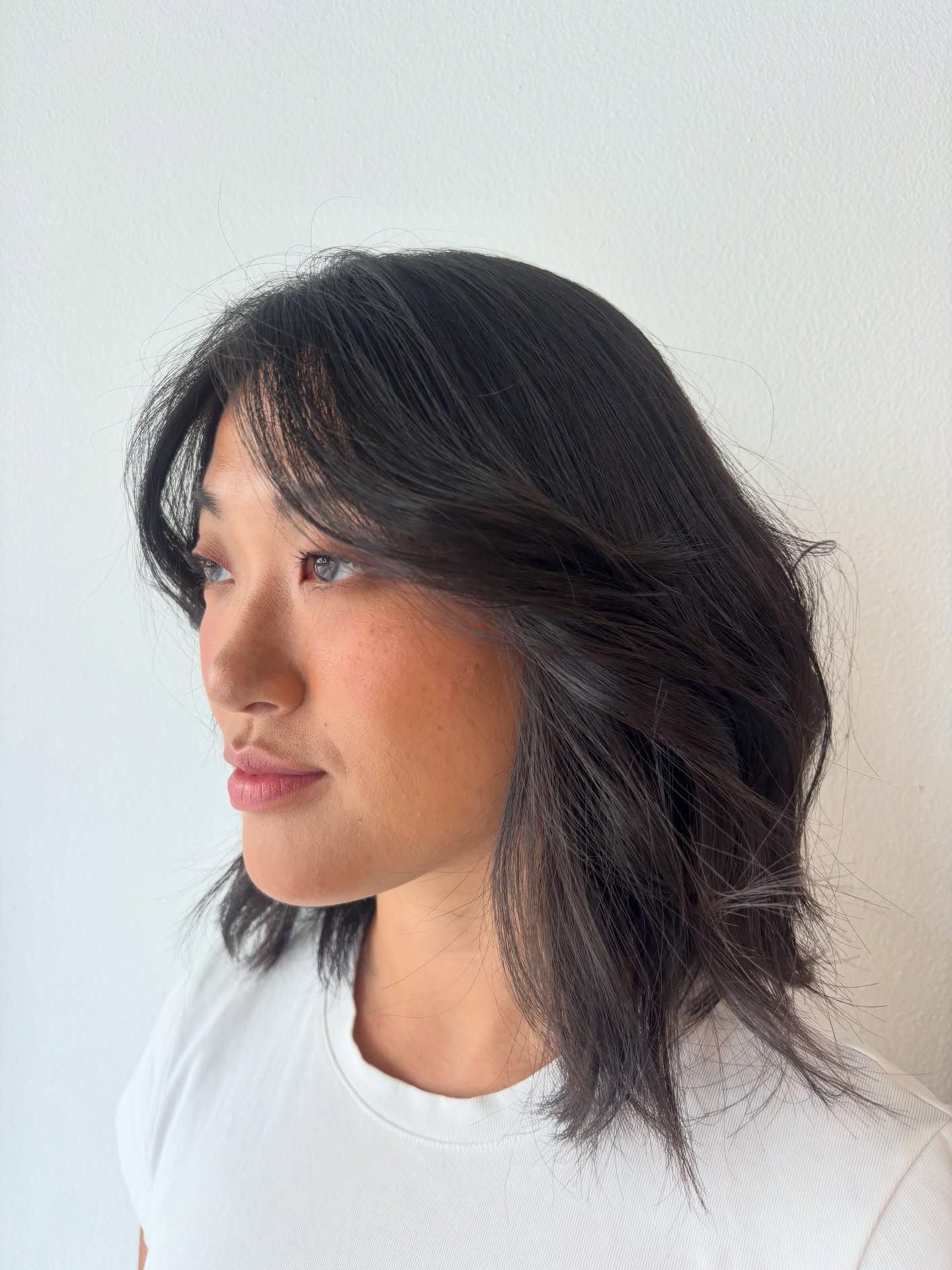 Dark layered mid-length cut with curtain fringe